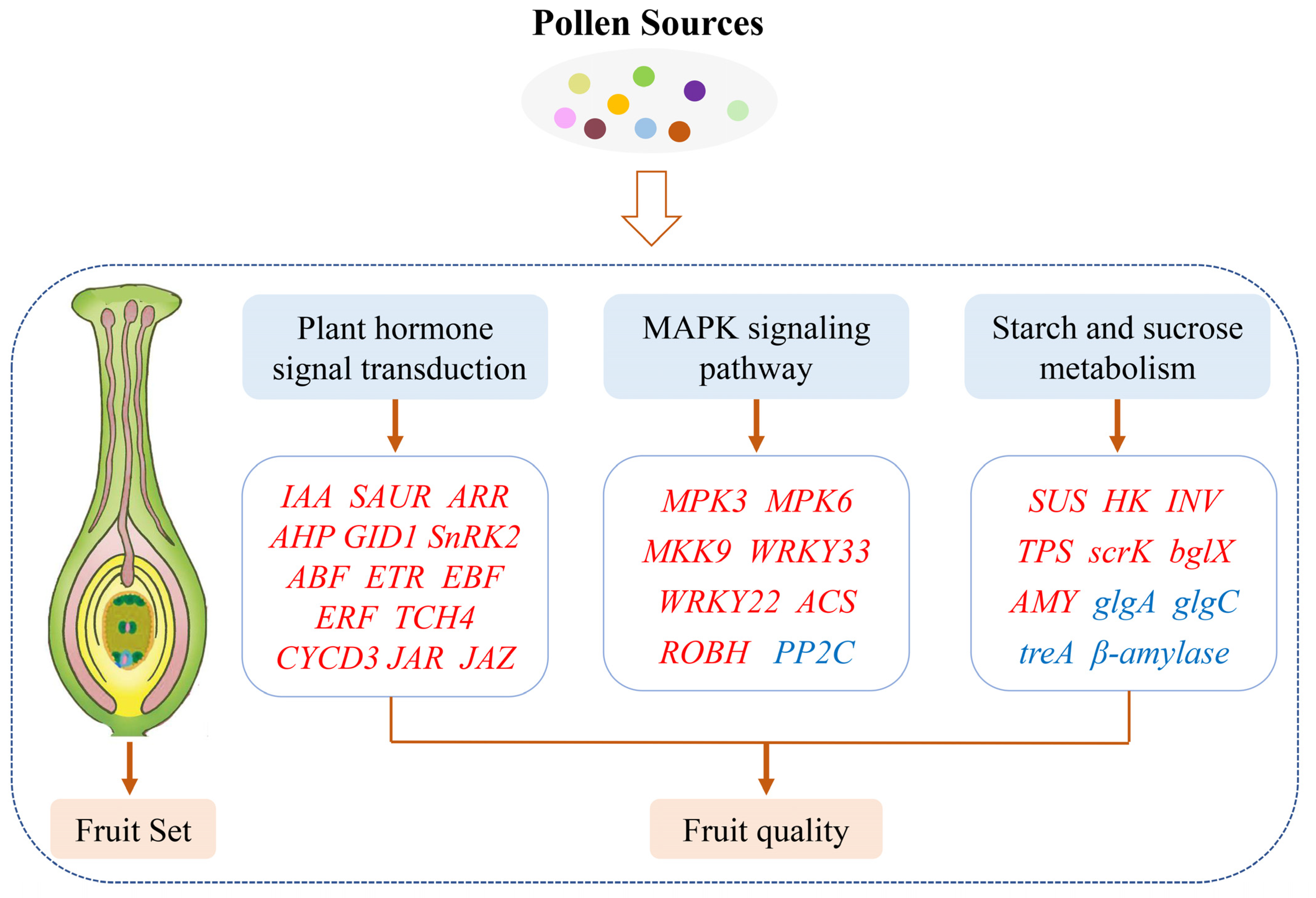 Ijms 23 12959 g009 Ijms 23 12959 g009