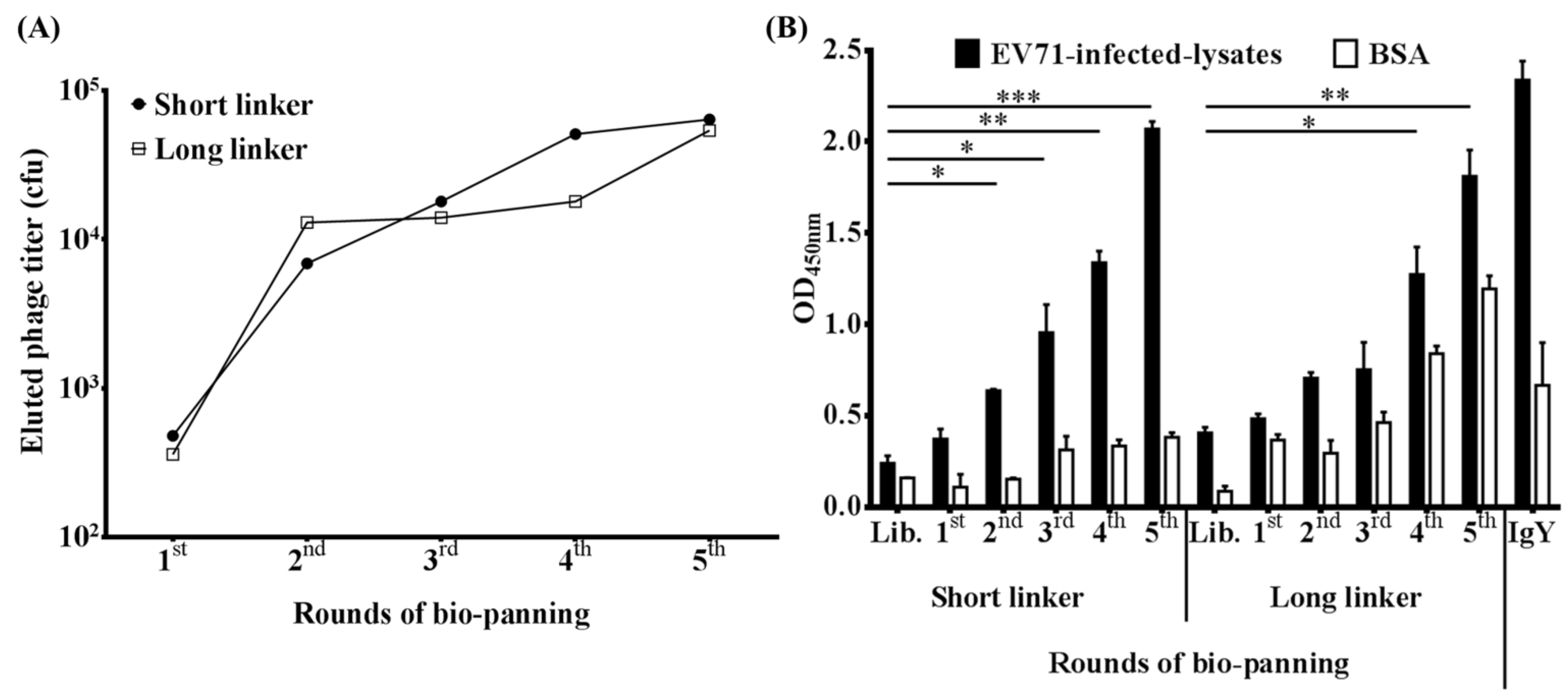 Ijms 23 12967 g002 Ijms 23 12967 g002