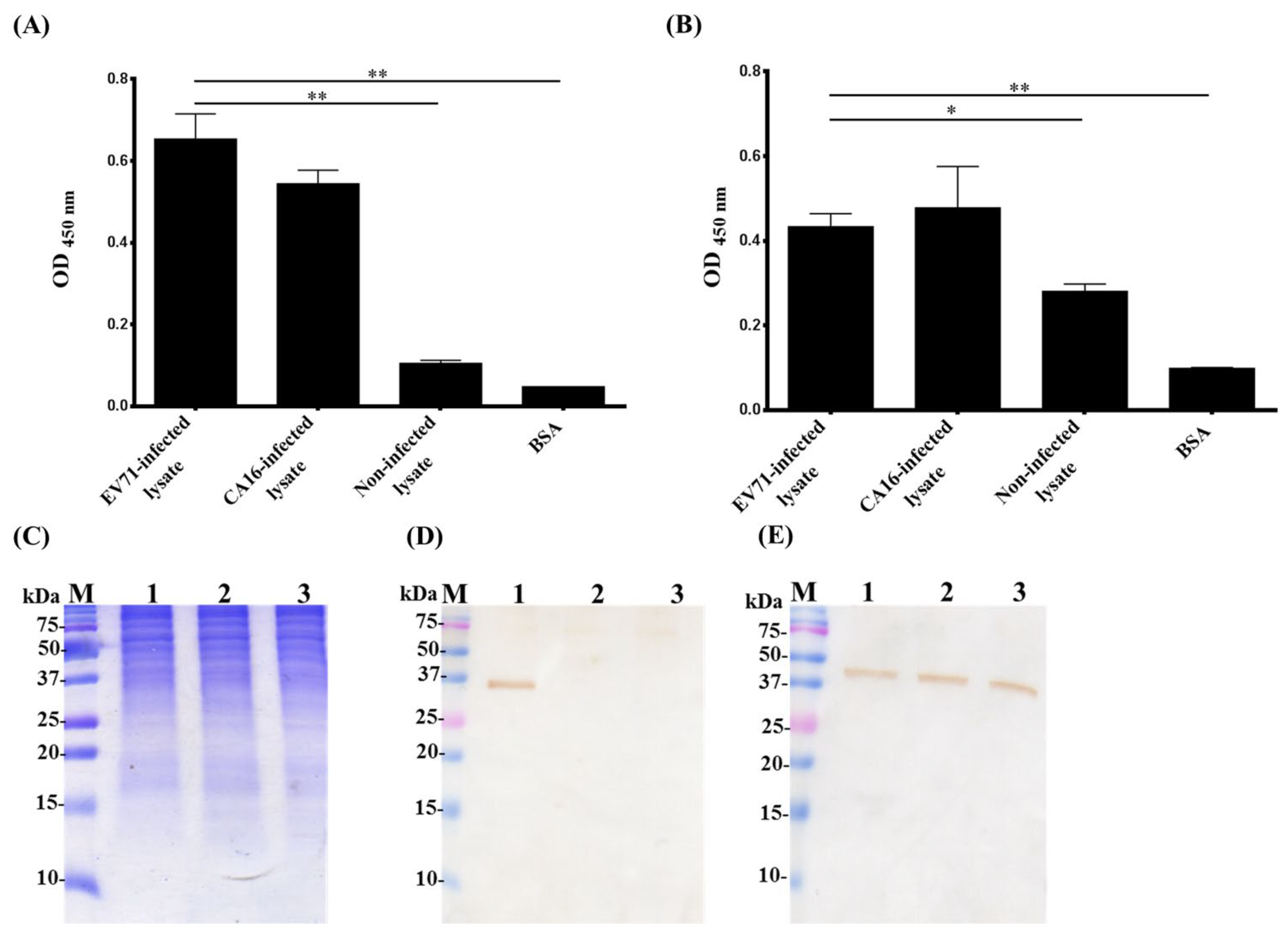 Ijms 23 12967 g005 Ijms 23 12967 g005