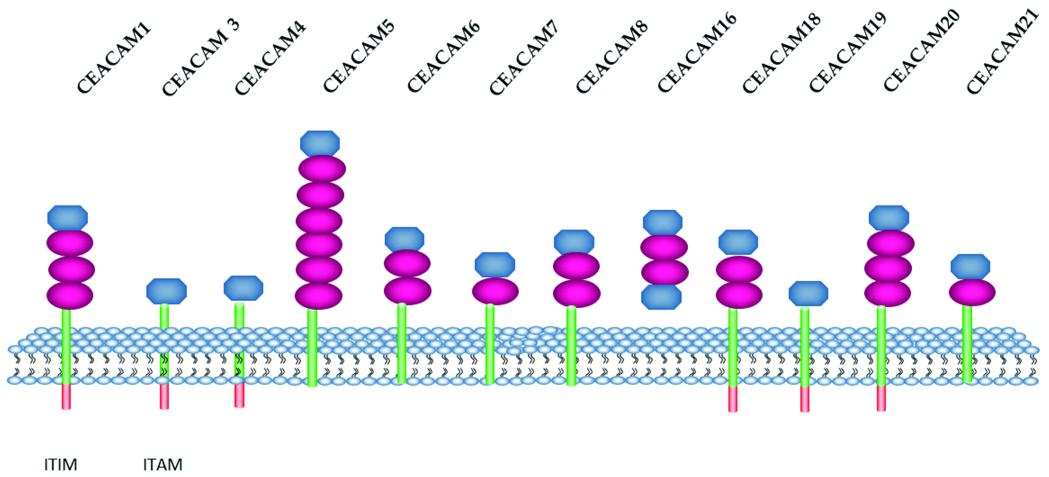 Ijms 23 12968 g001 Ijms 23 12968 g001