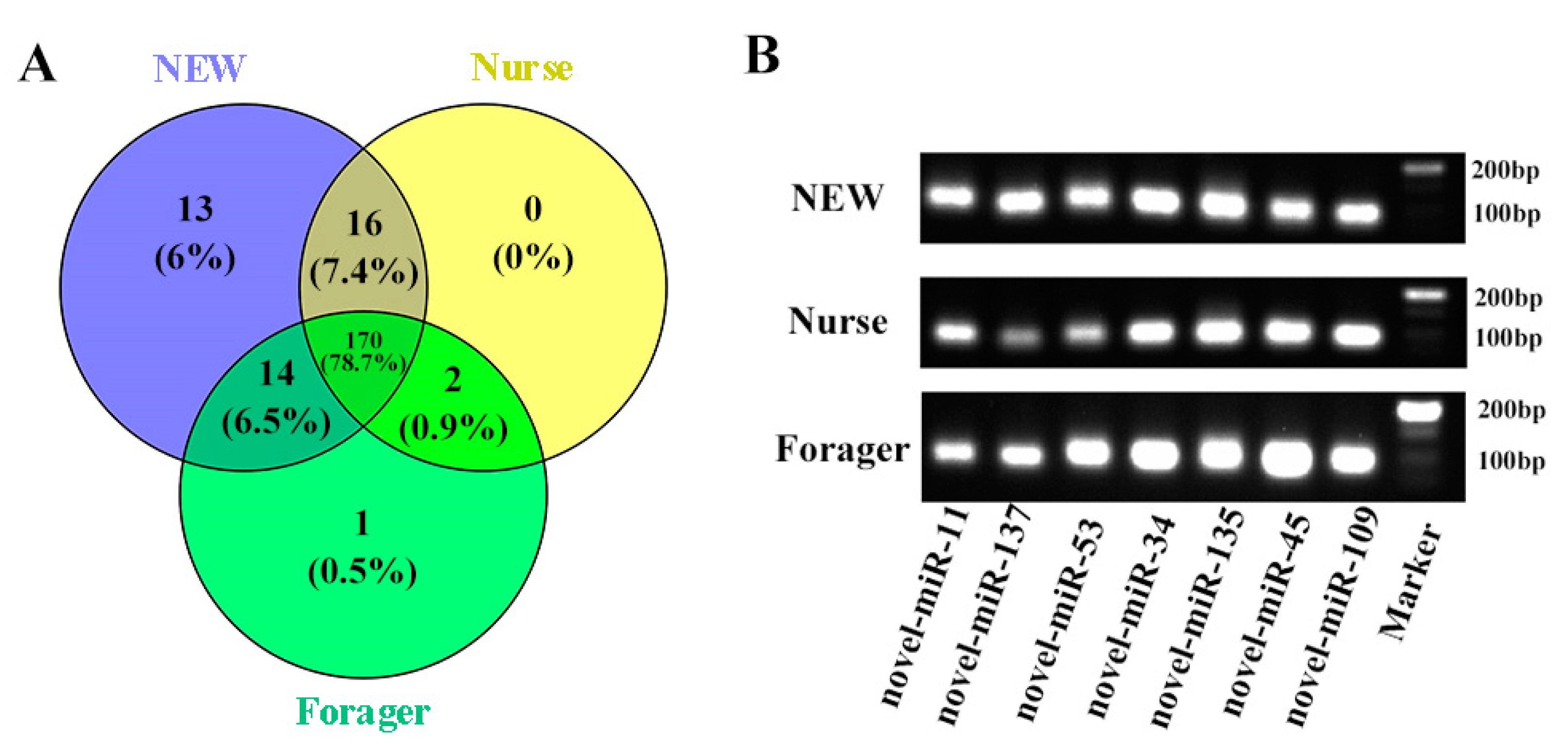 Ijms 23 12970 g001 Ijms 23 12970 g001