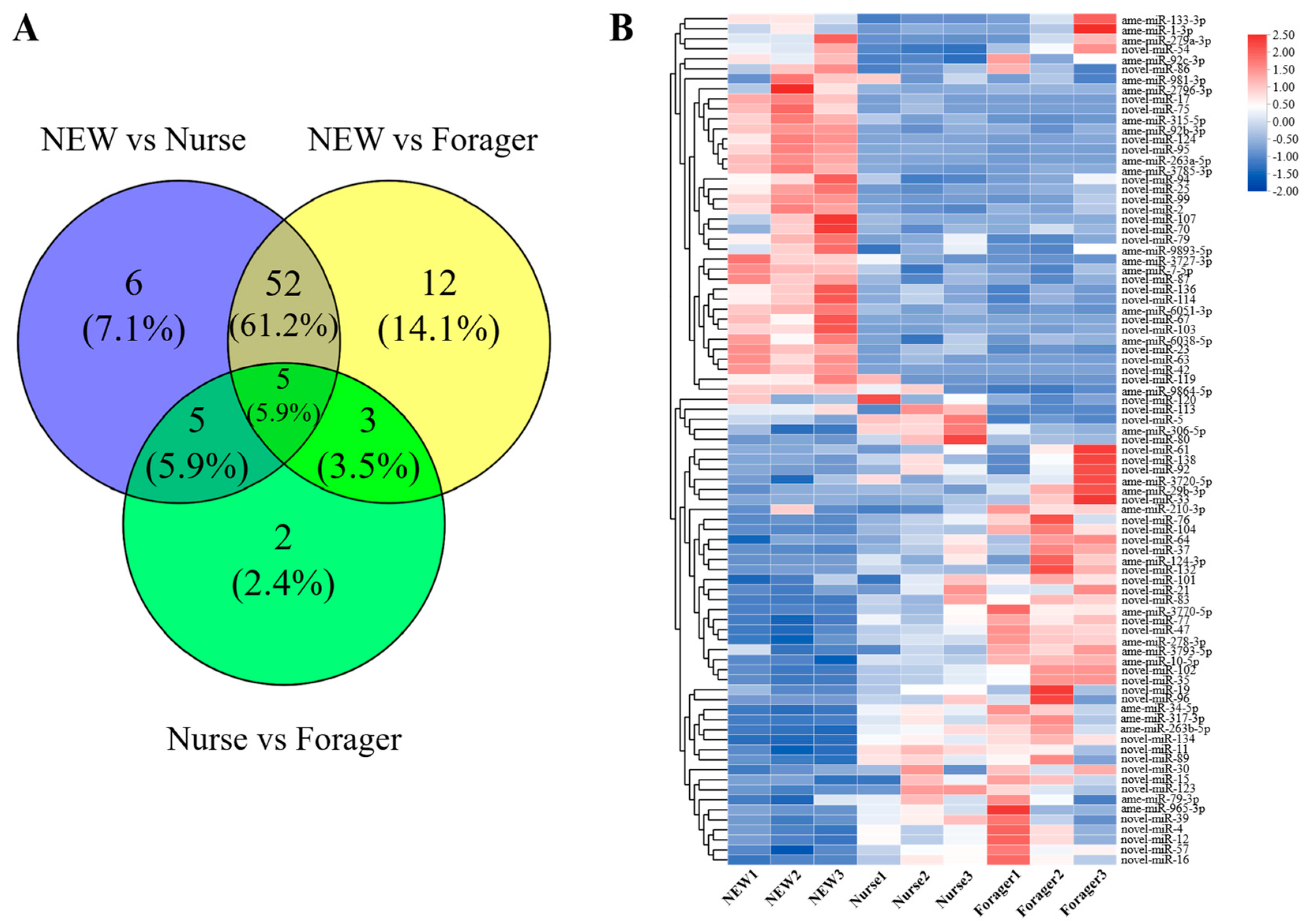 Ijms 23 12970 g002 Ijms 23 12970 g002