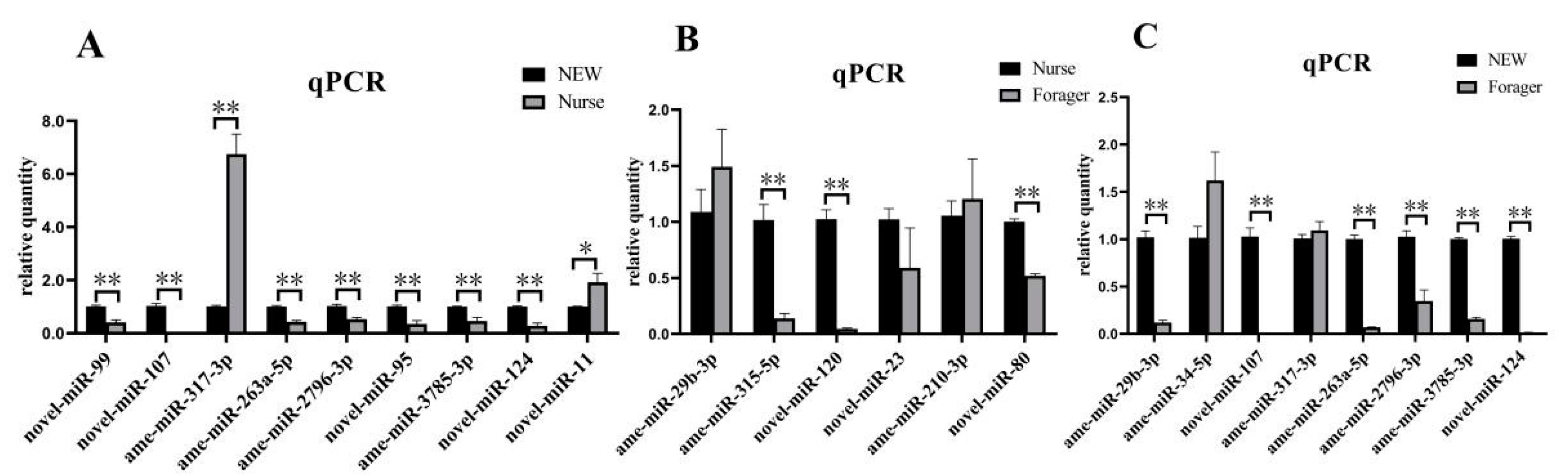 Ijms 23 12970 g003 Ijms 23 12970 g003