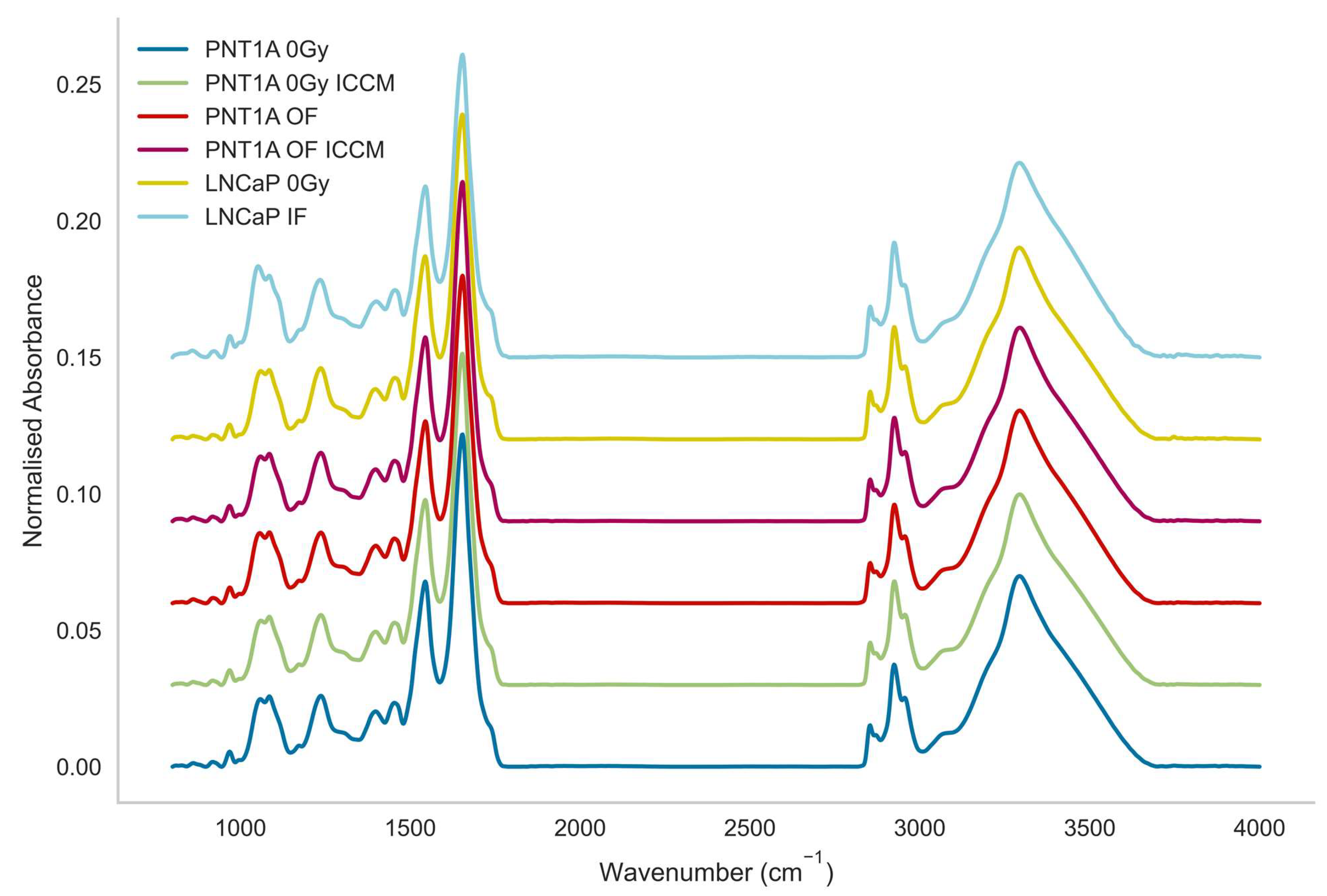 Ijms 23 12986 g001 Ijms 23 12986 g001