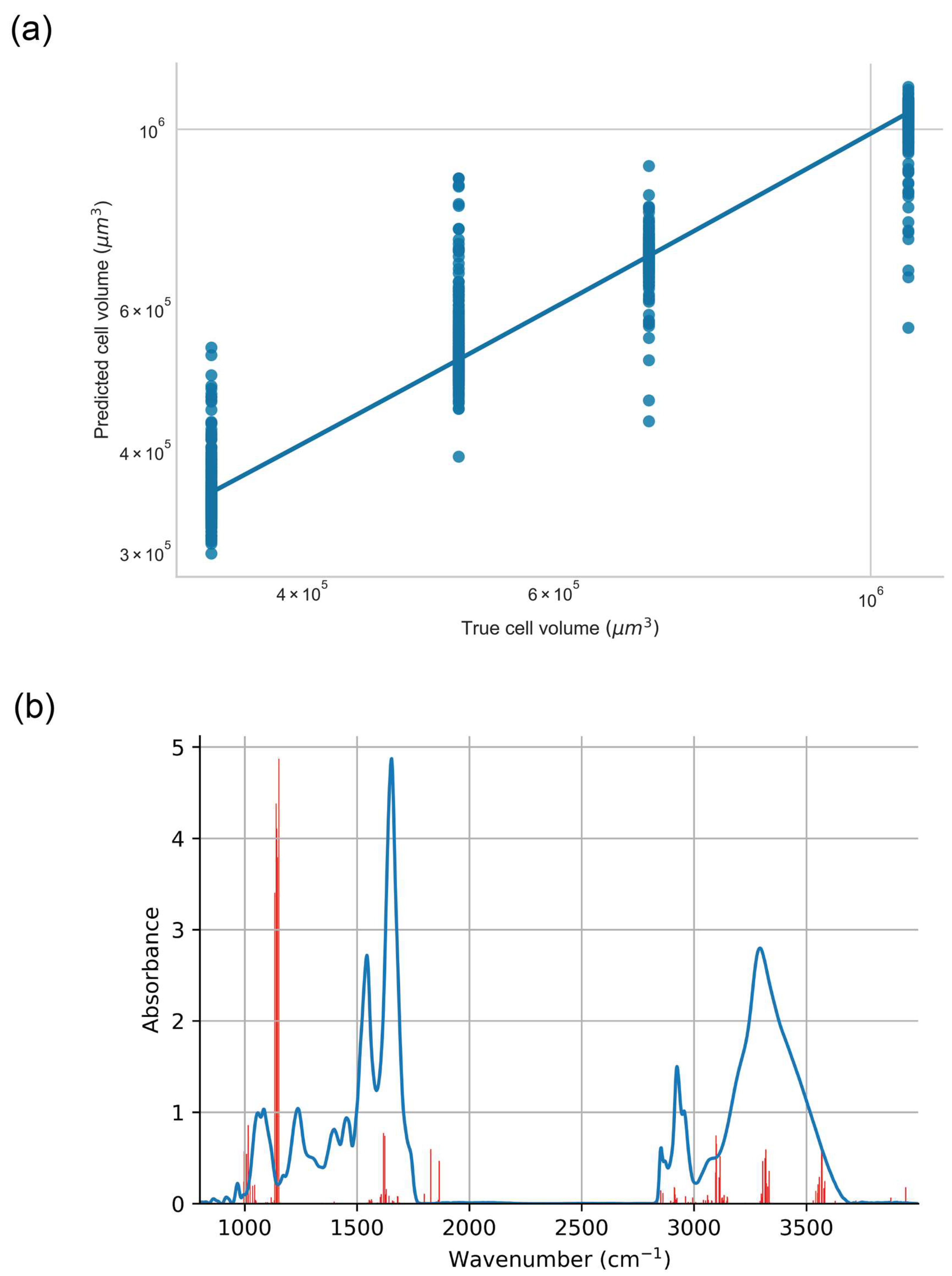 Ijms 23 12986 g007 Ijms 23 12986 g007