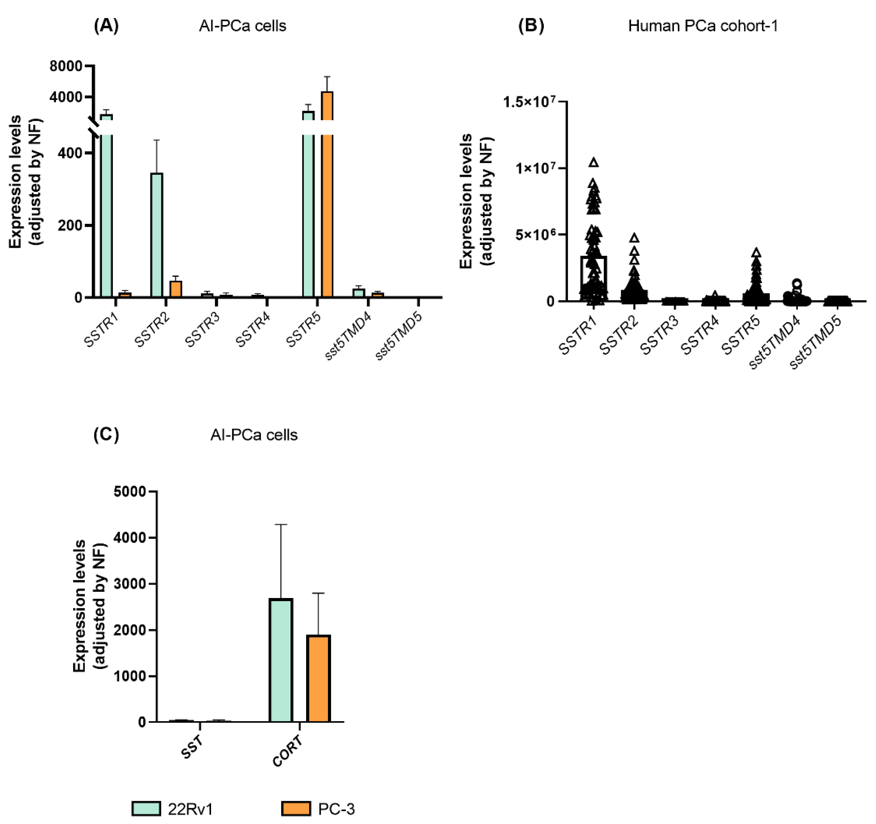 Ijms 23 13003 g003 Ijms 23 13003 g003