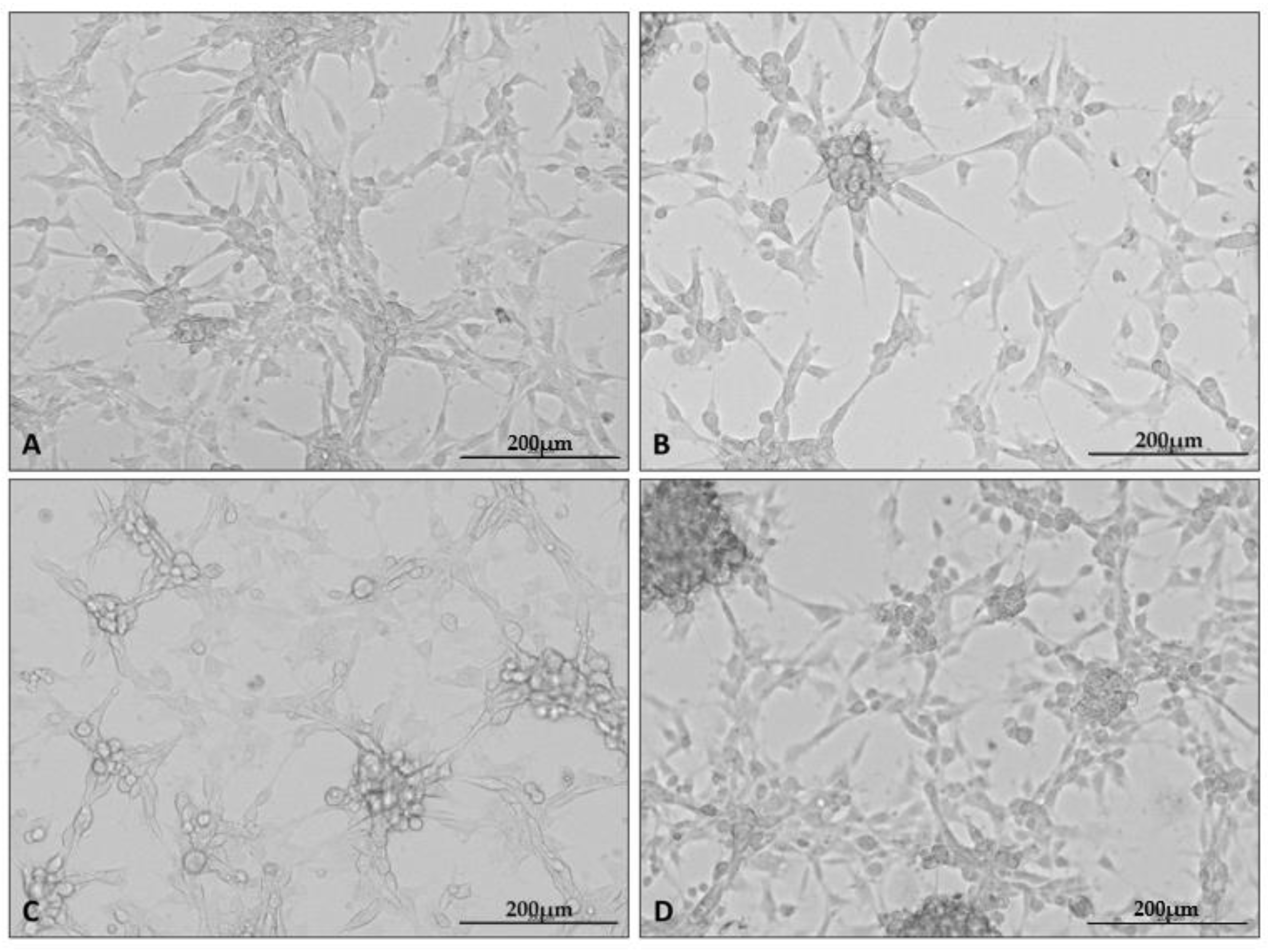 Ijms 23 13004 g001 Ijms 23 13004 g001