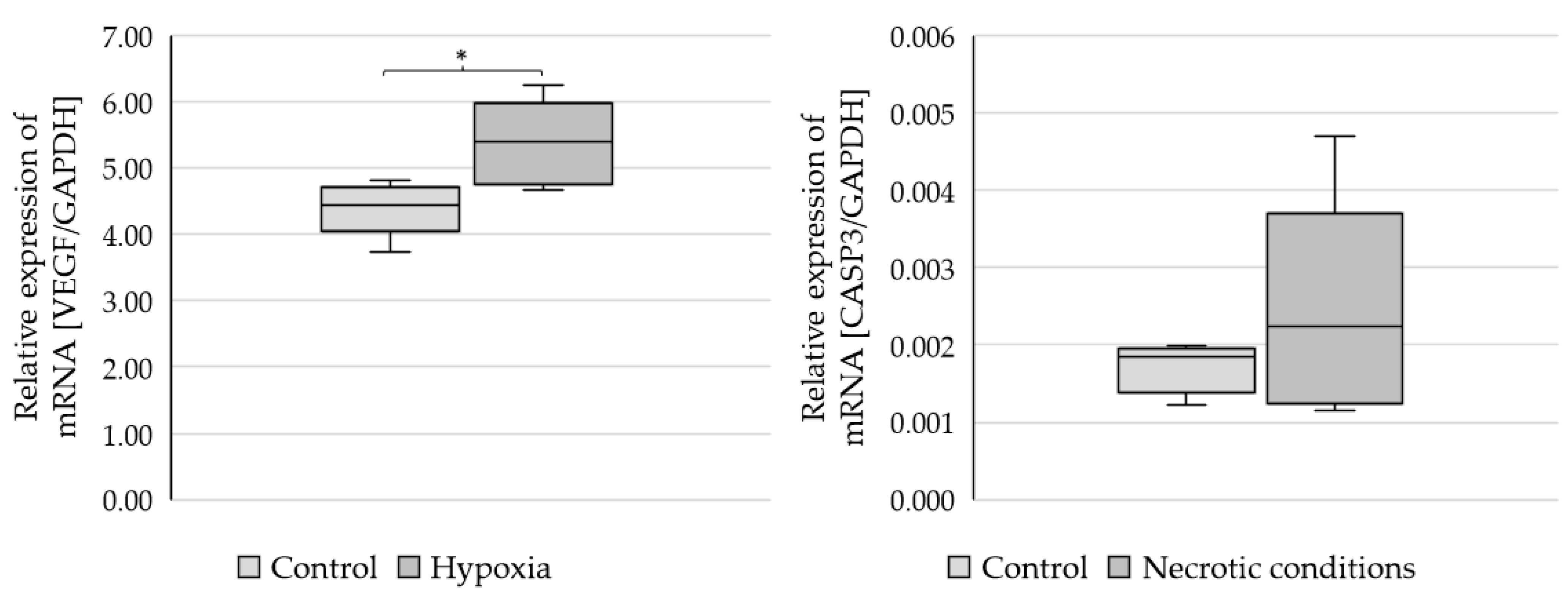 Ijms 23 13004 g002 Ijms 23 13004 g002