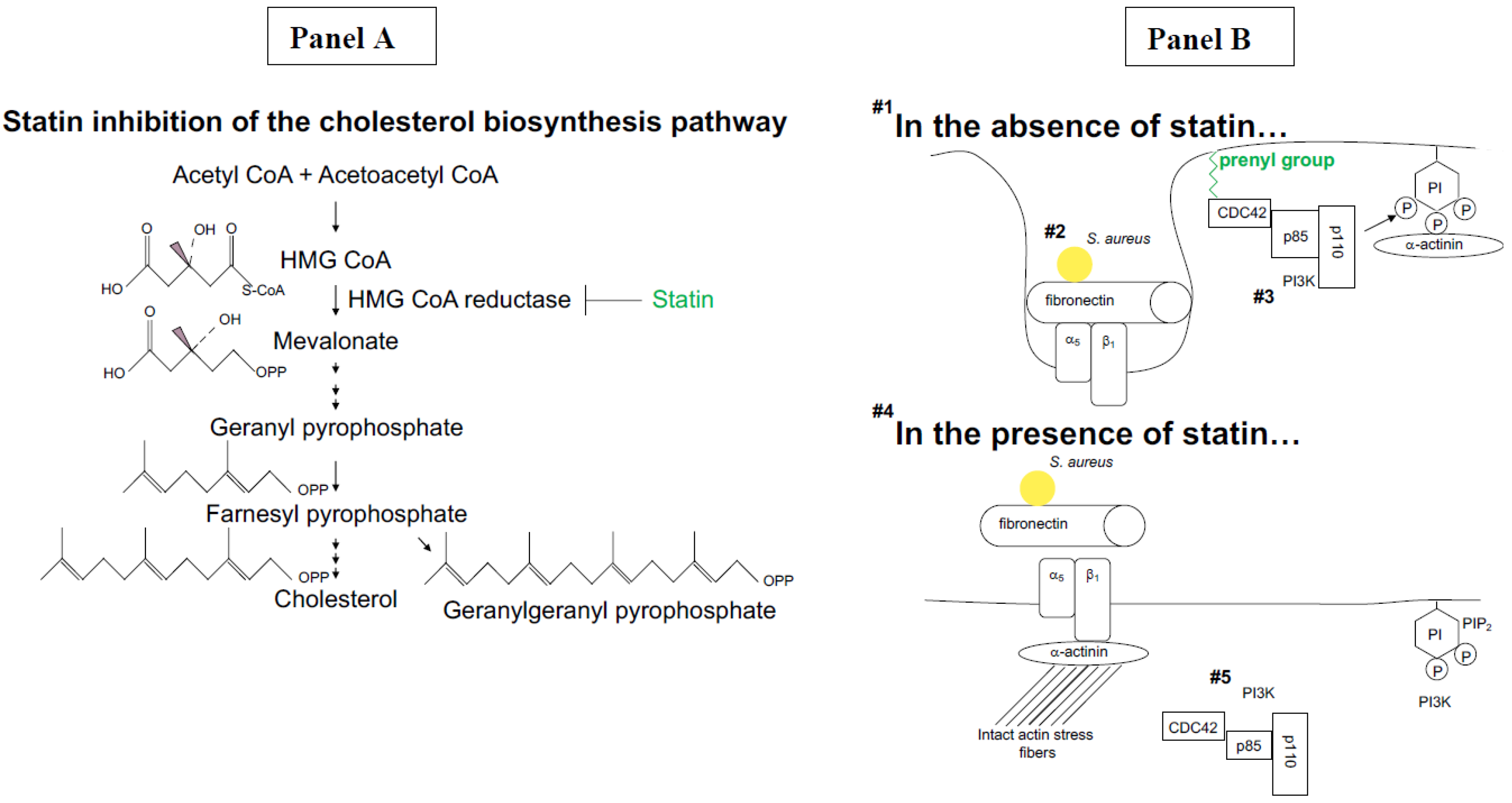 Ijms 23 13006 sch001