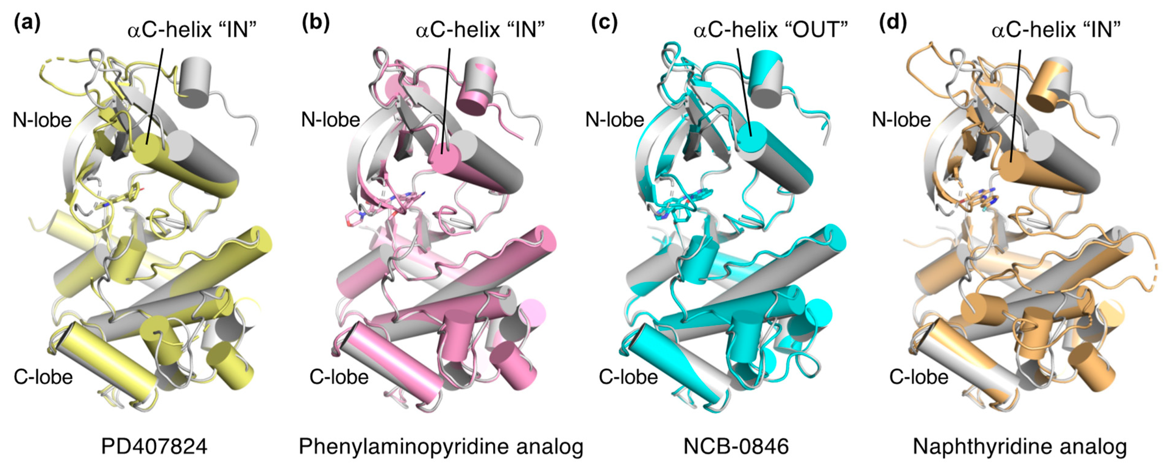 Ijms 23 13010 g003 Ijms 23 13010 g003