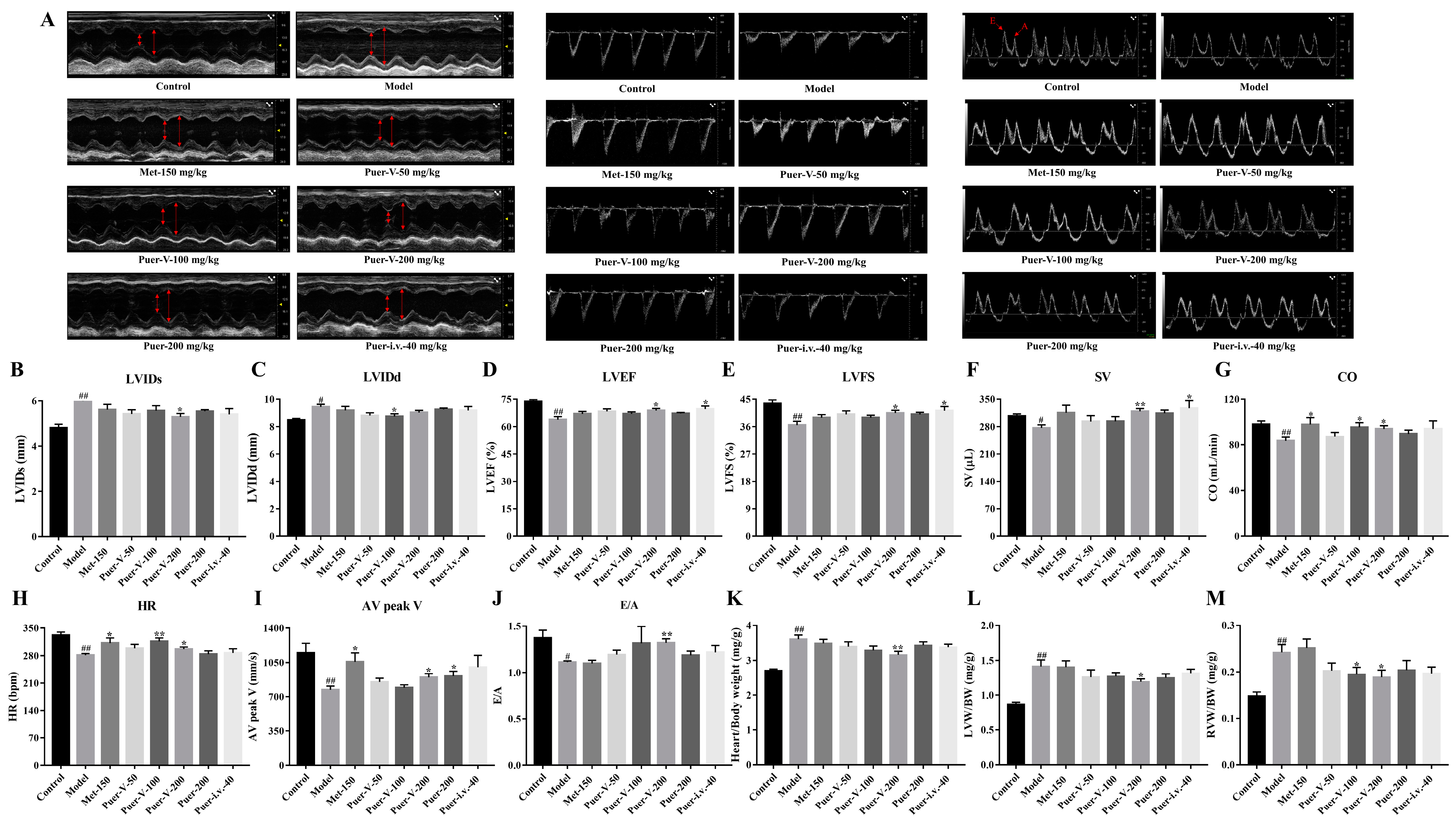 Ijms 23 13015 g005 Ijms 23 13015 g005