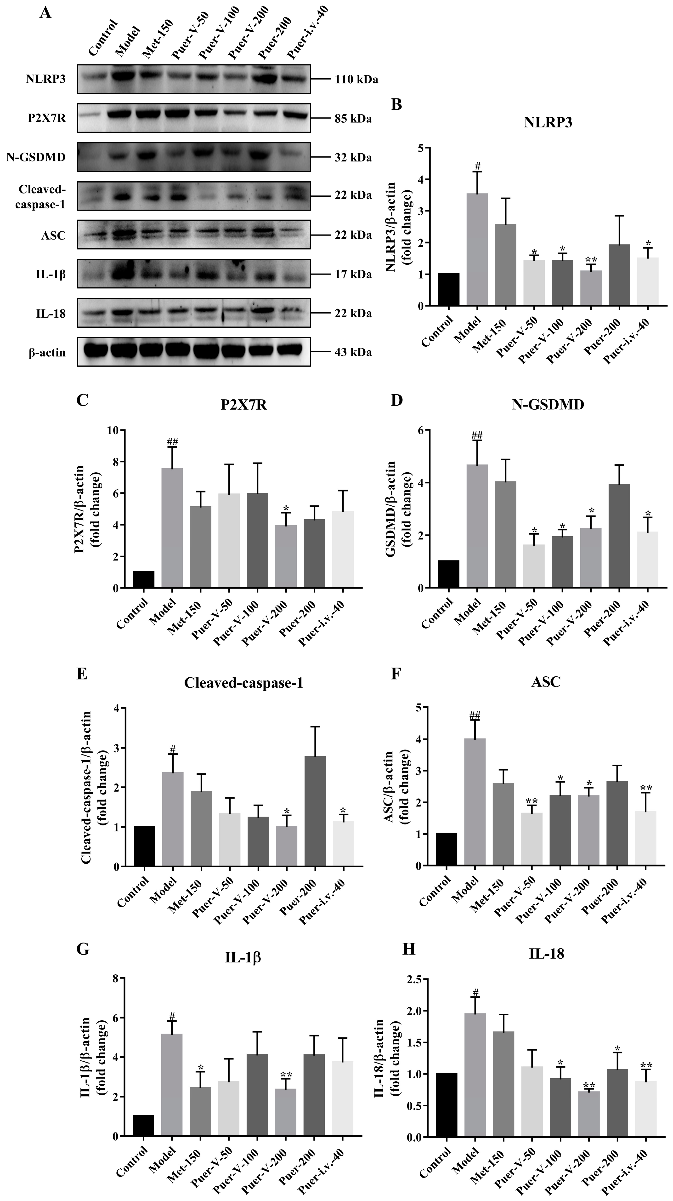 Ijms 23 13015 g011 Ijms 23 13015 g011