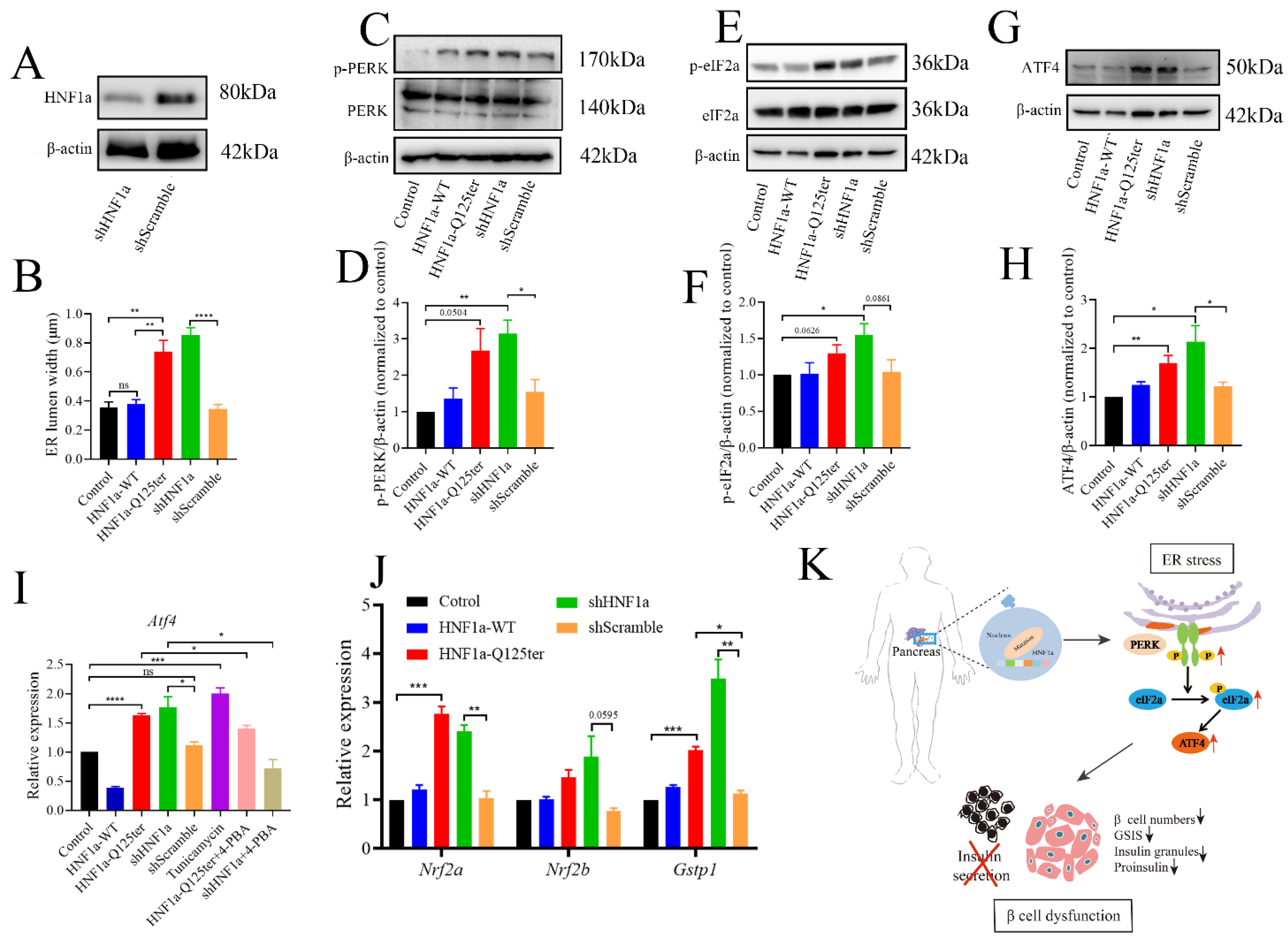 Ijms 23 13022 g005 Ijms 23 13022 g005