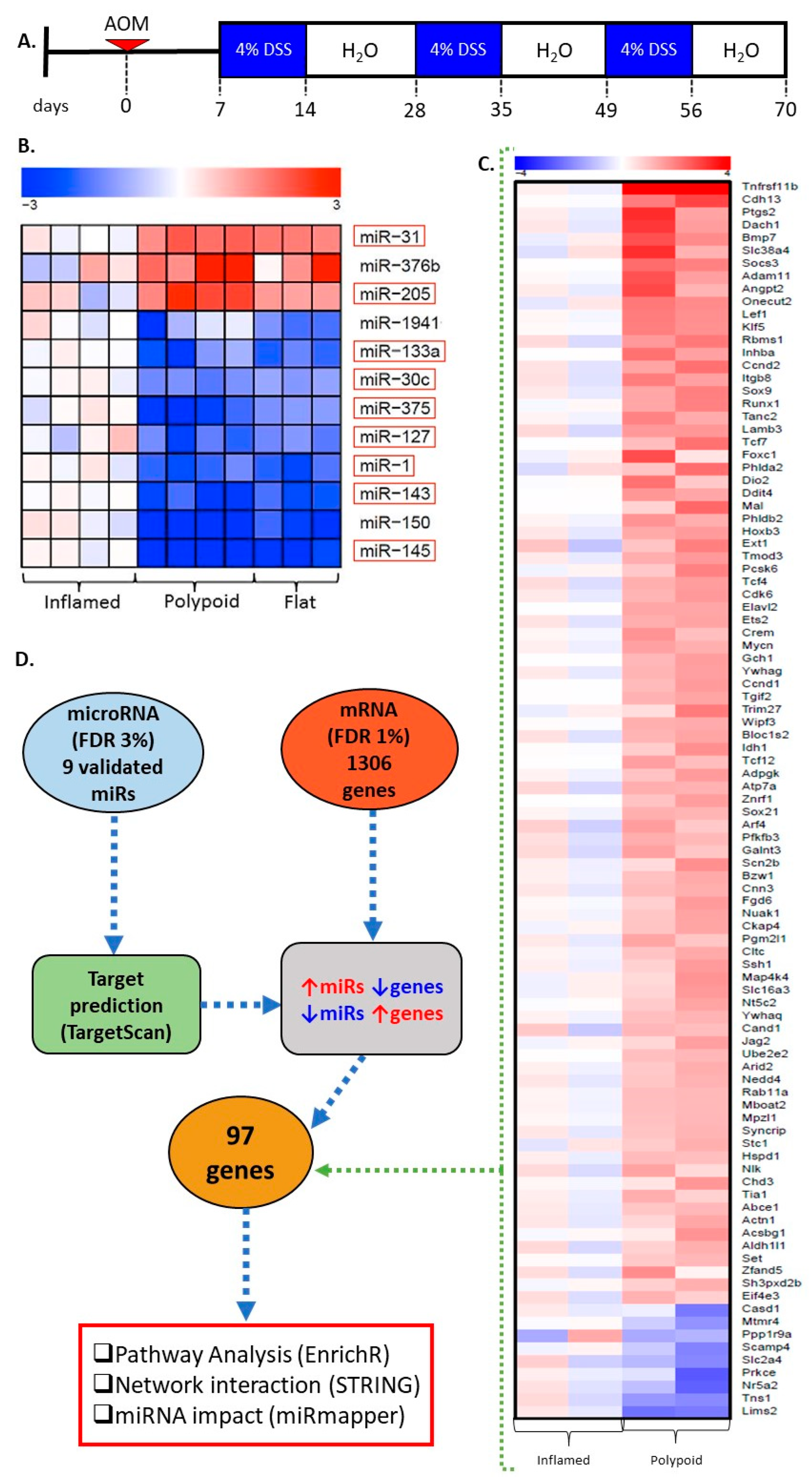 Ijms 23 13024 g001 Ijms 23 13024 g001