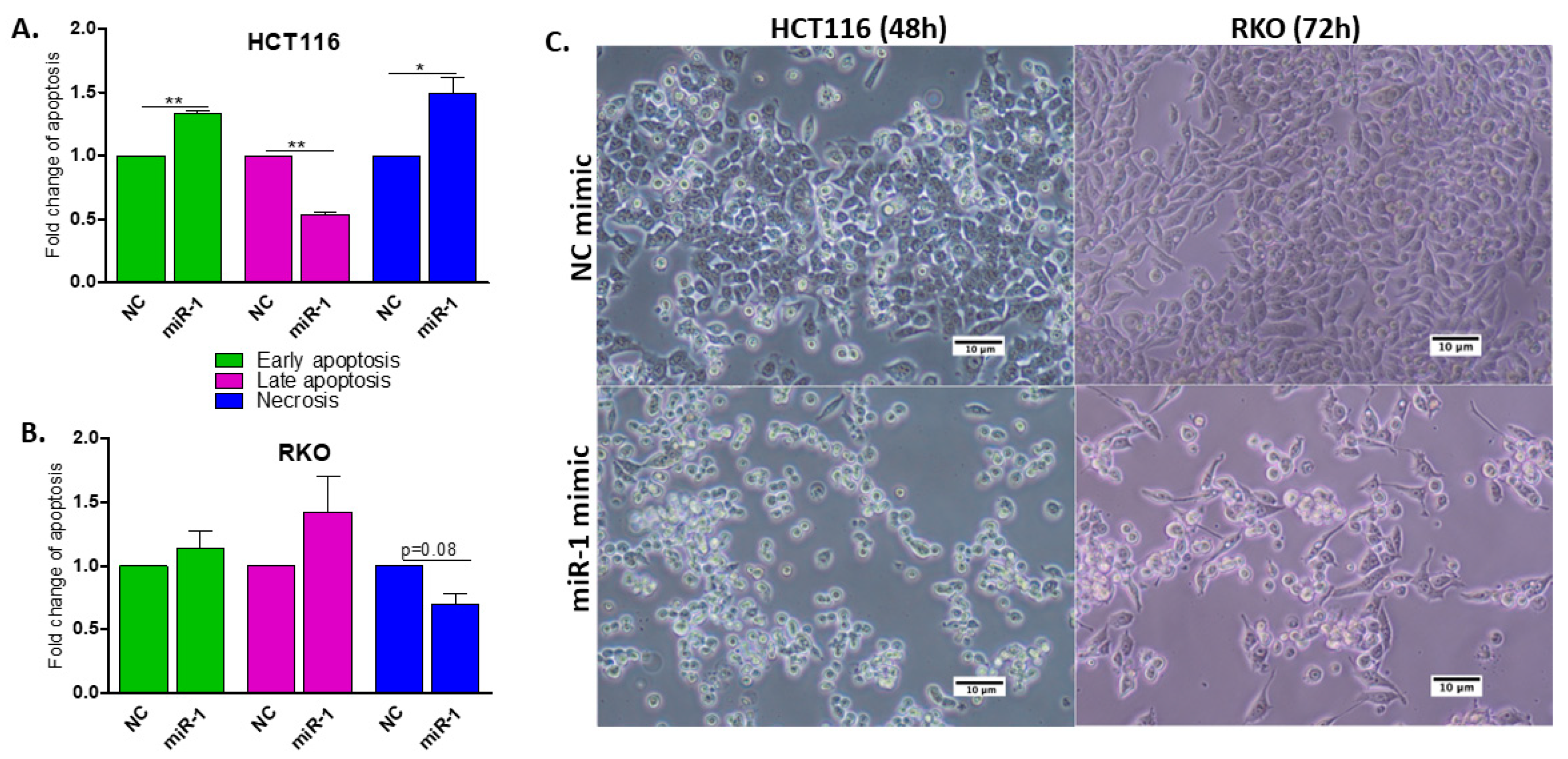 Ijms 23 13024 g003 Ijms 23 13024 g003