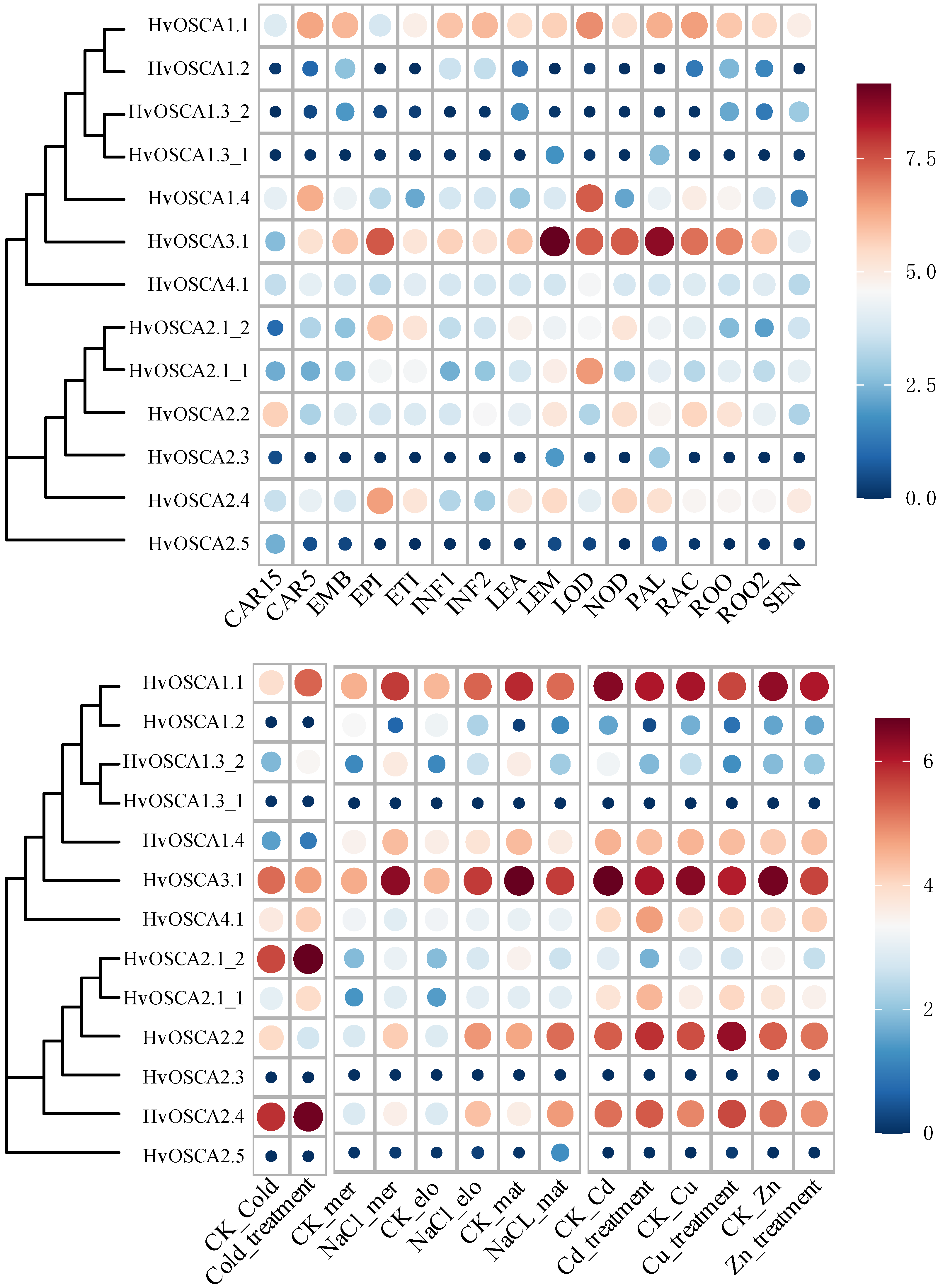 Ijms 23 13027 g004 Ijms 23 13027 g004