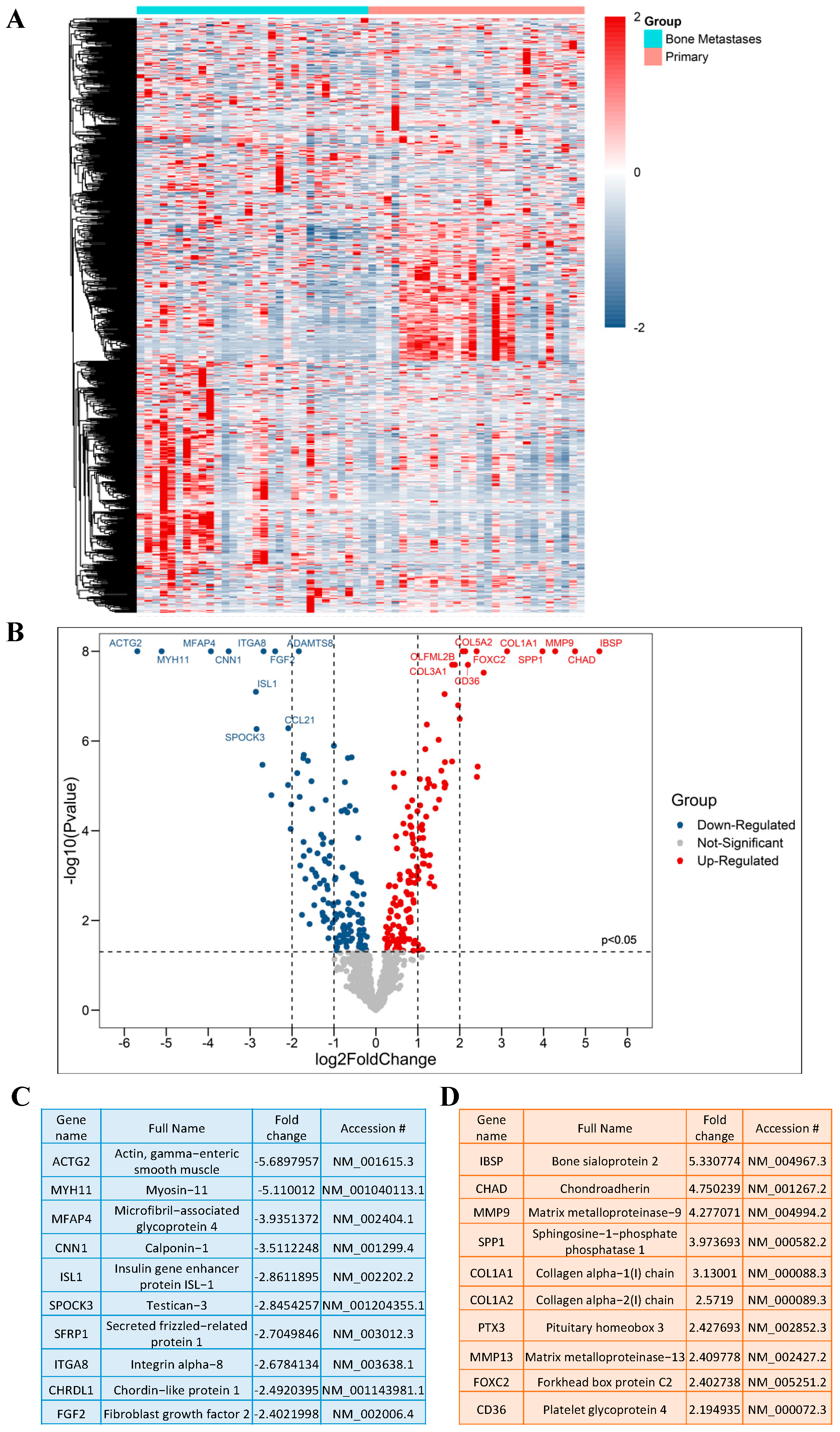 Ijms 23 13029 g002 Ijms 23 13029 g002