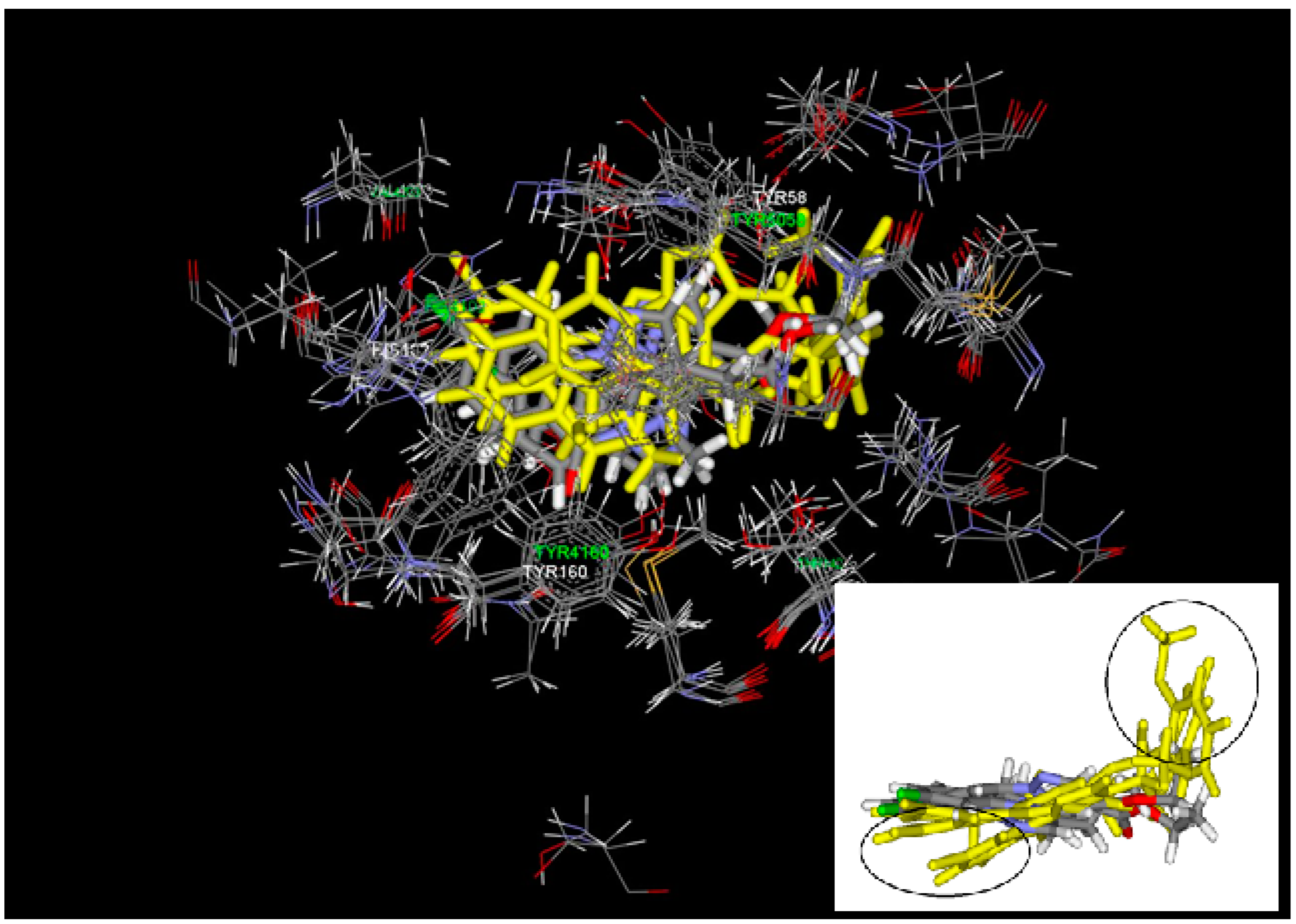 Ijms 23 13032 g001 550