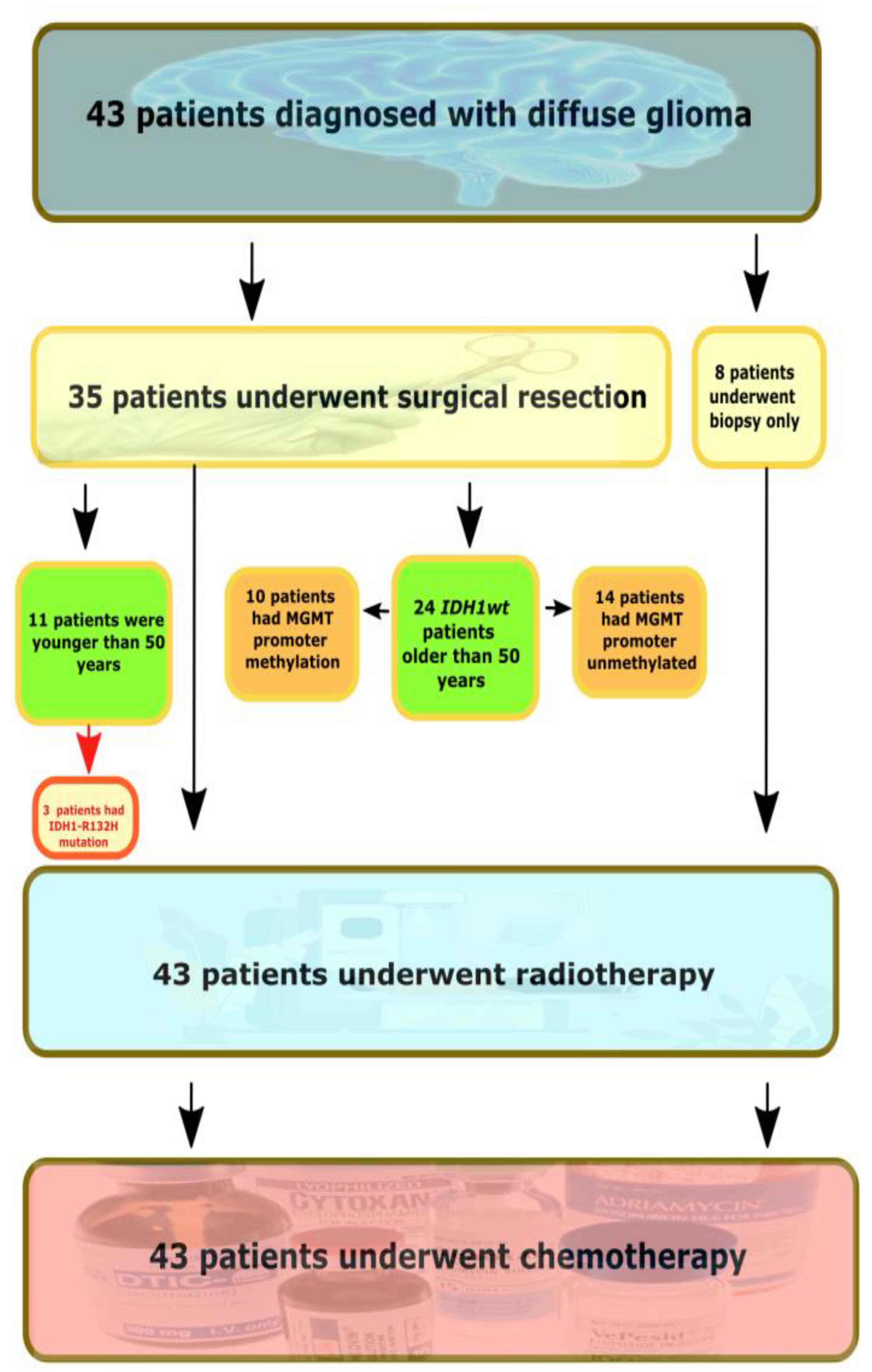 Ijms 23 13034 g001 Ijms 23 13034 g001