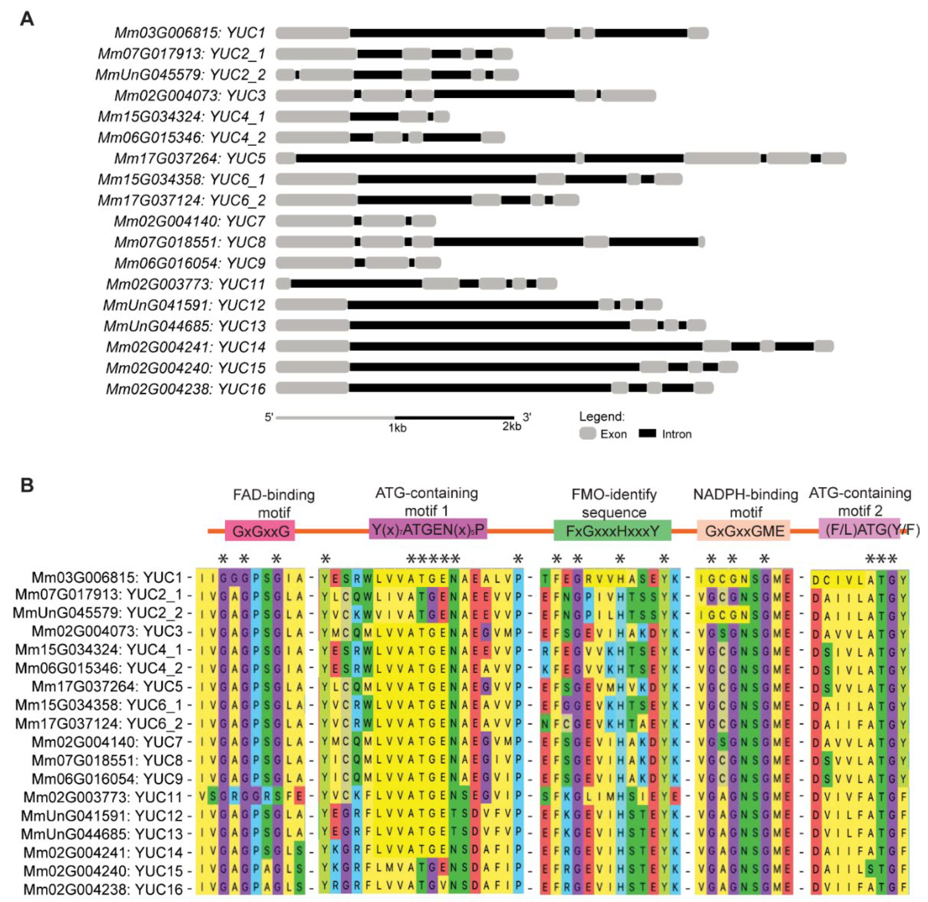 Ijms 23 13037 g001 Ijms 23 13037 g001