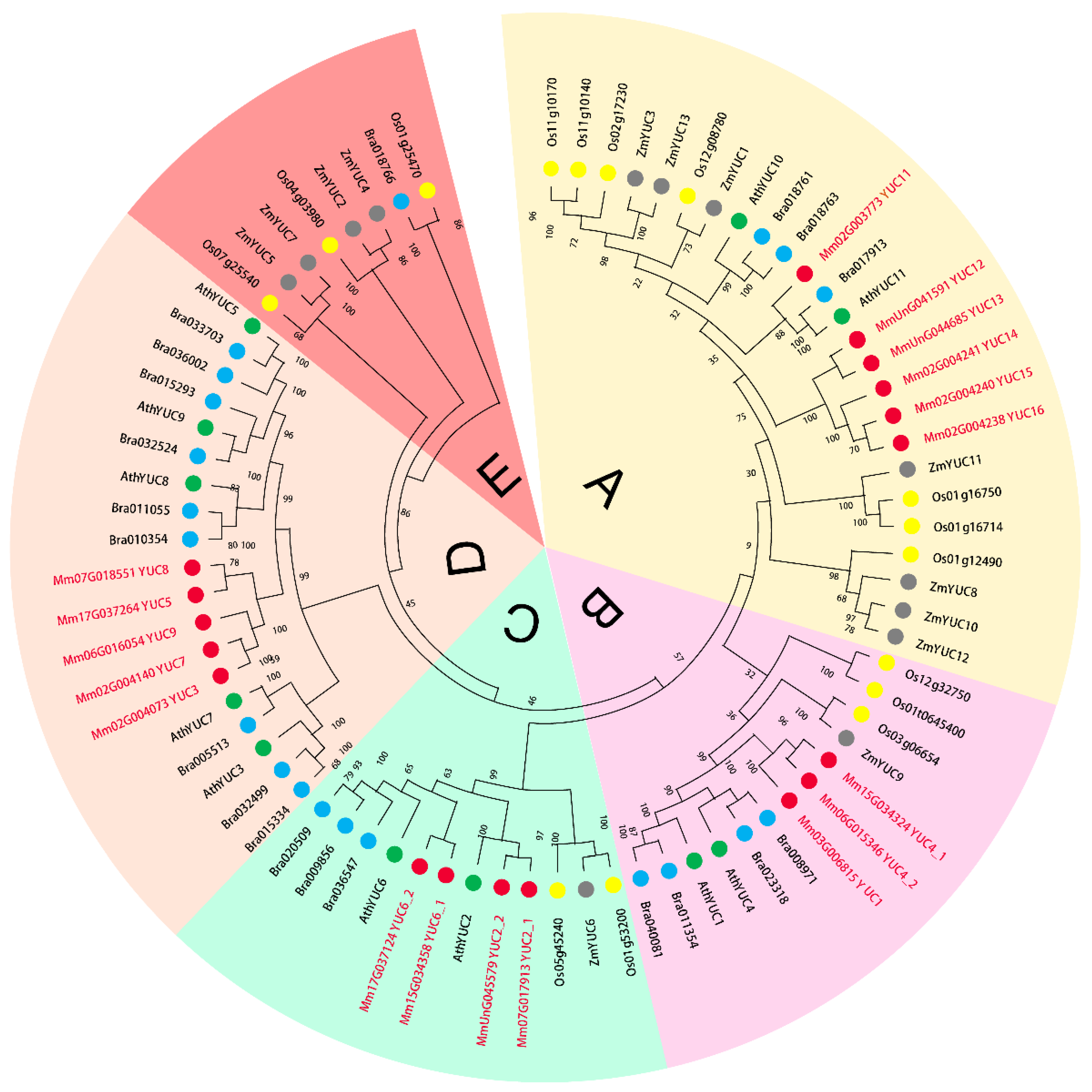 Ijms 23 13037 g002 Ijms 23 13037 g002