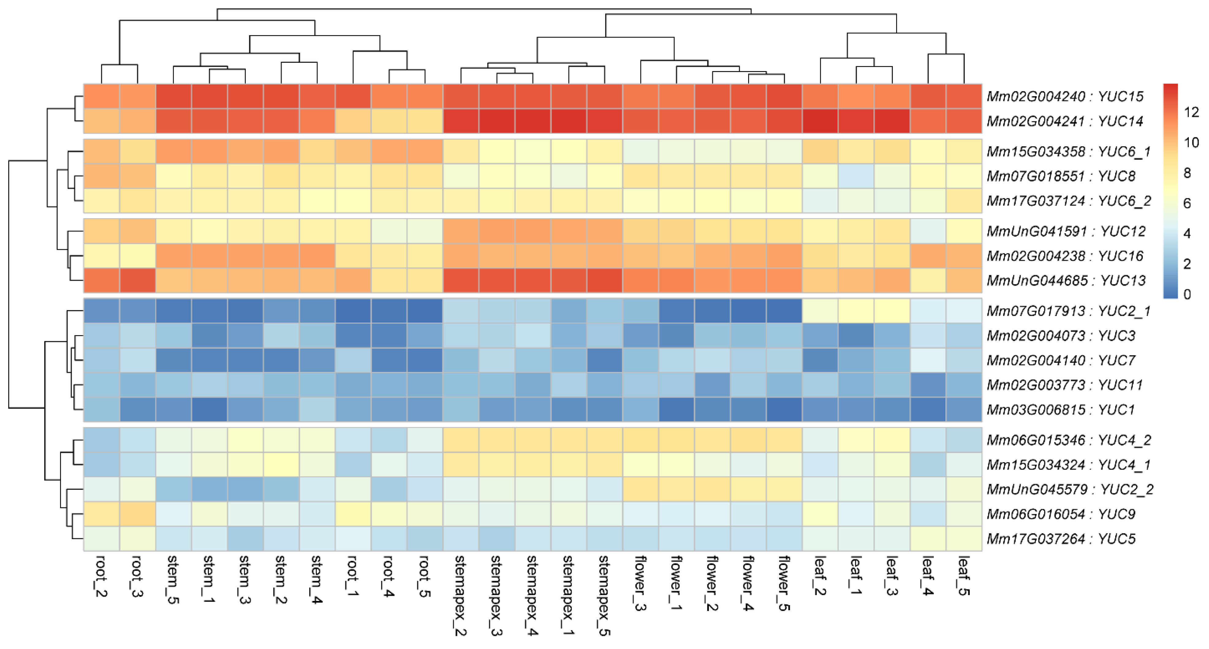 Ijms 23 13037 g003 Ijms 23 13037 g003