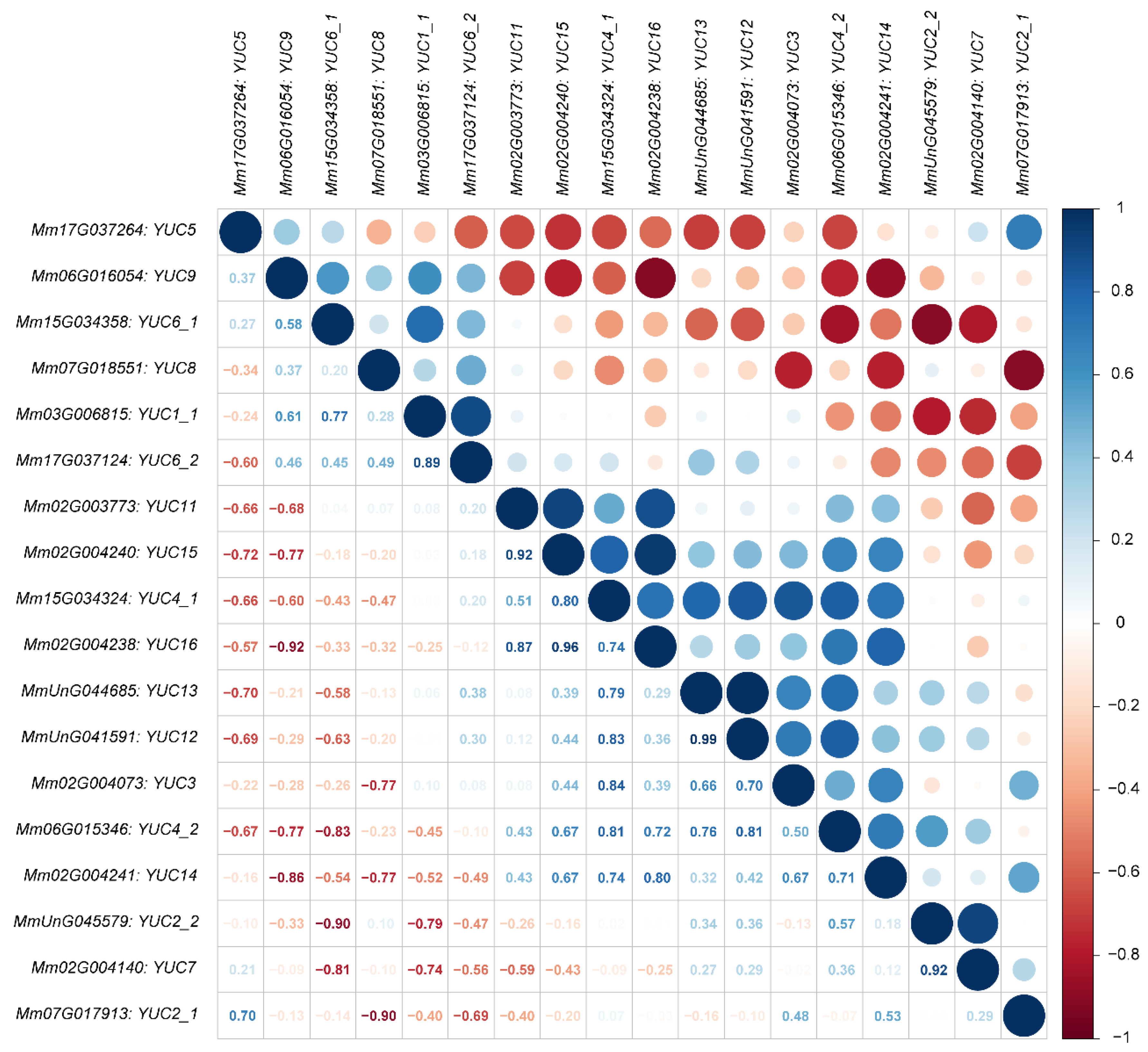 Ijms 23 13037 g004 Ijms 23 13037 g004