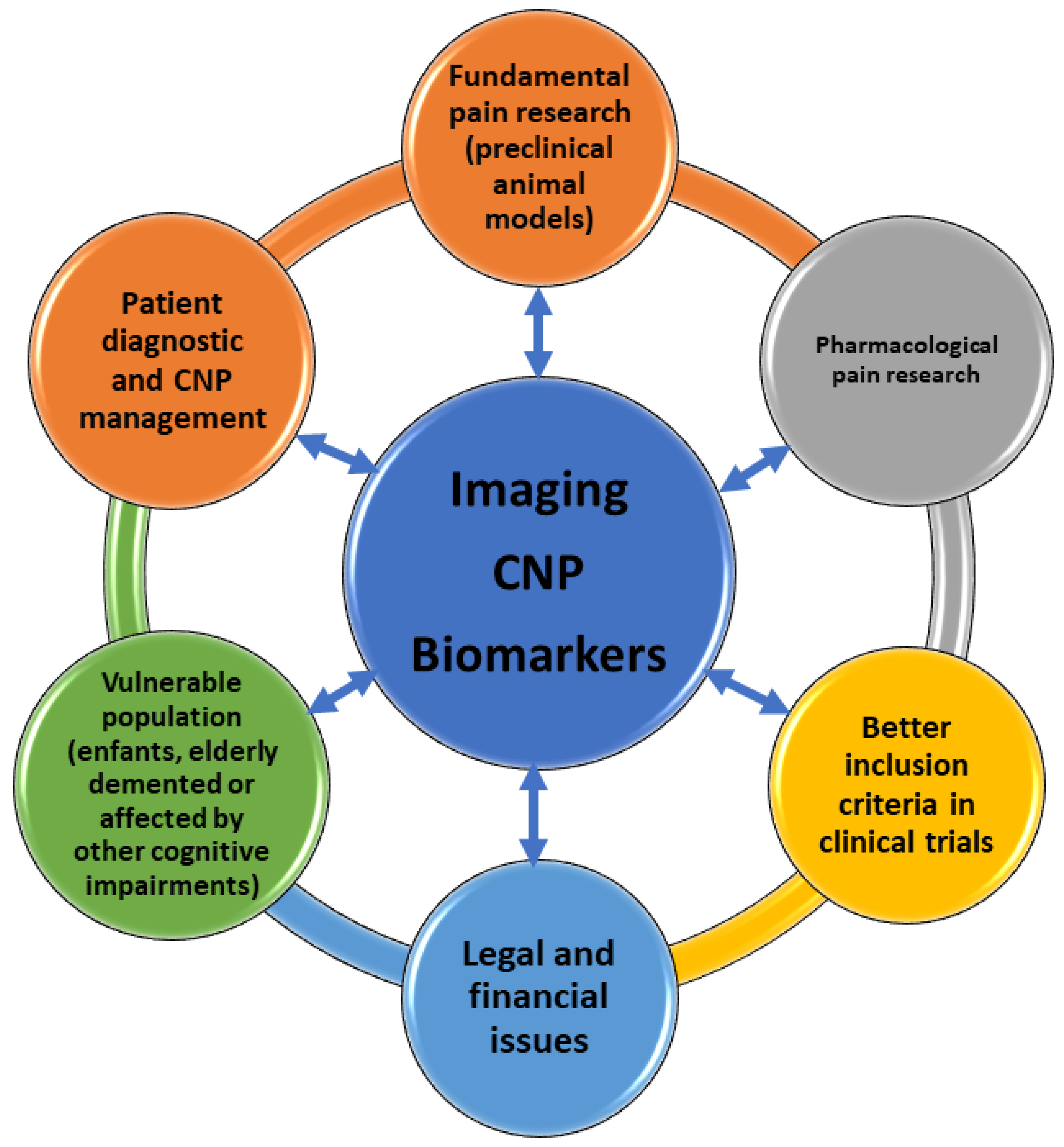 Ijms 23 13038 g002 Ijms 23 13038 g002