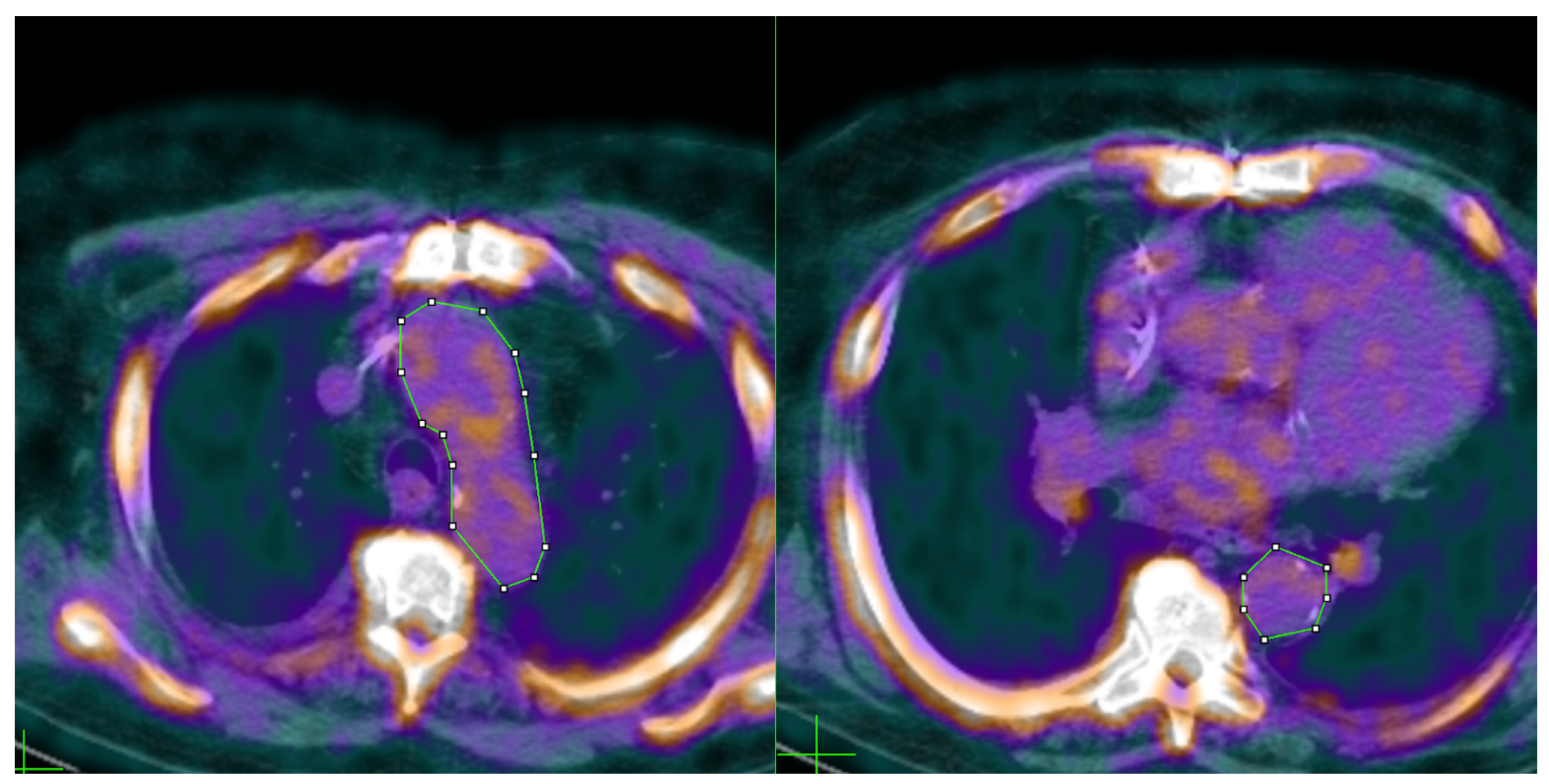 Ijms 23 13056 g005 Ijms 23 13056 g005