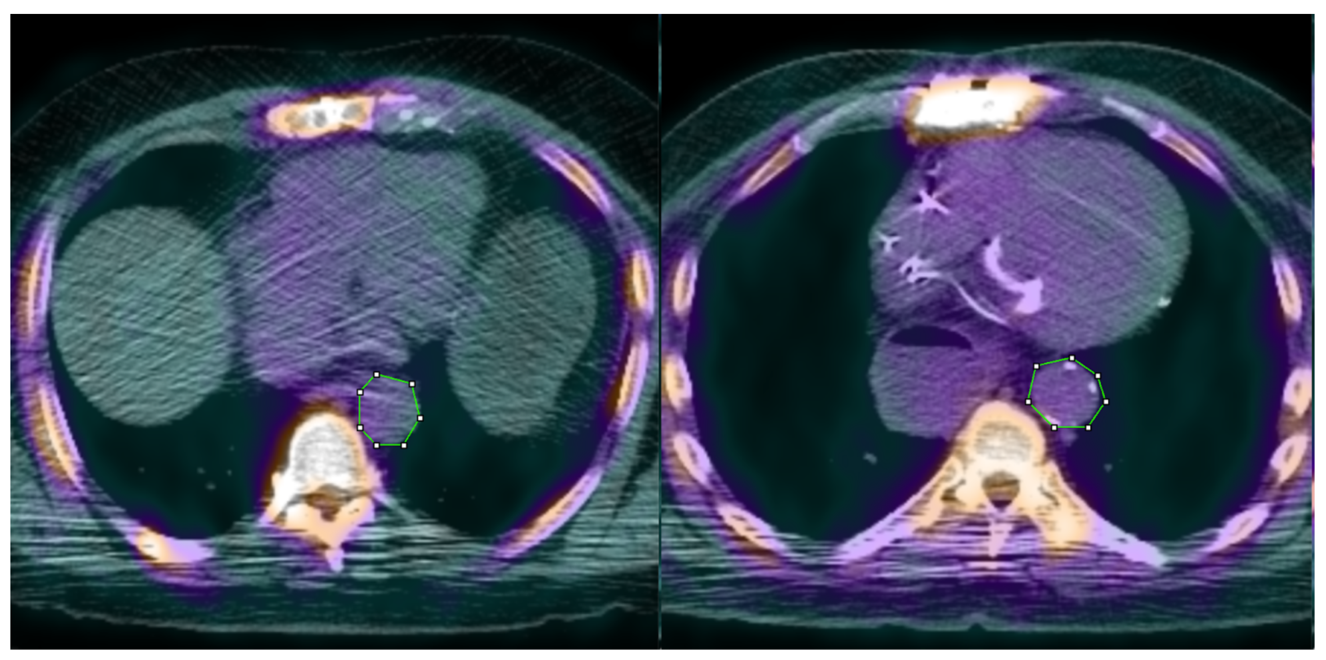 Ijms 23 13056 g006 Ijms 23 13056 g006