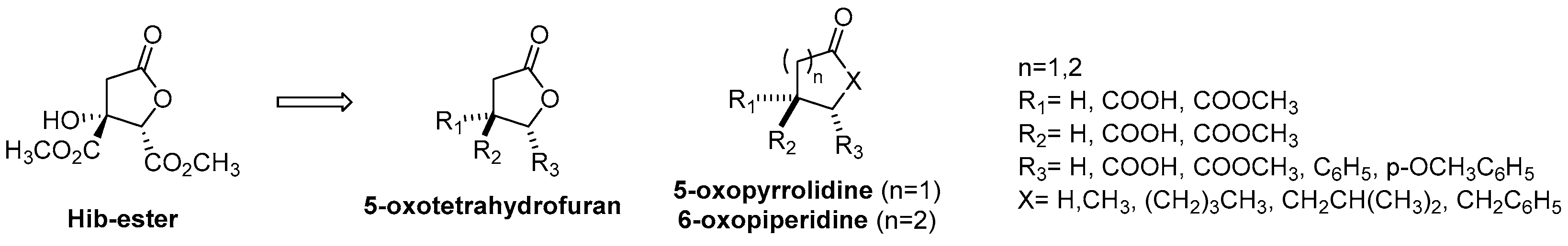 Ijms 23 13061 g001 Ijms 23 13061 g001