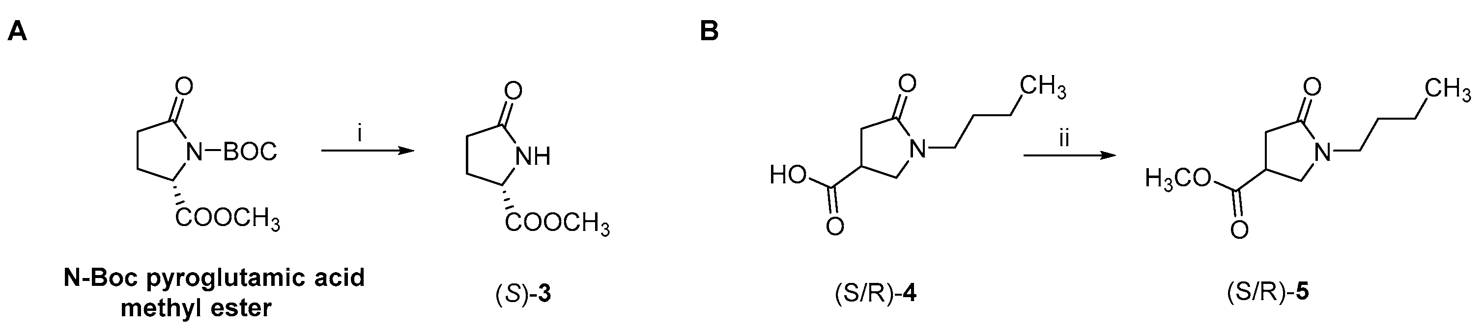 Ijms 23 13061 sch003 Ijms 23 13061 sch003