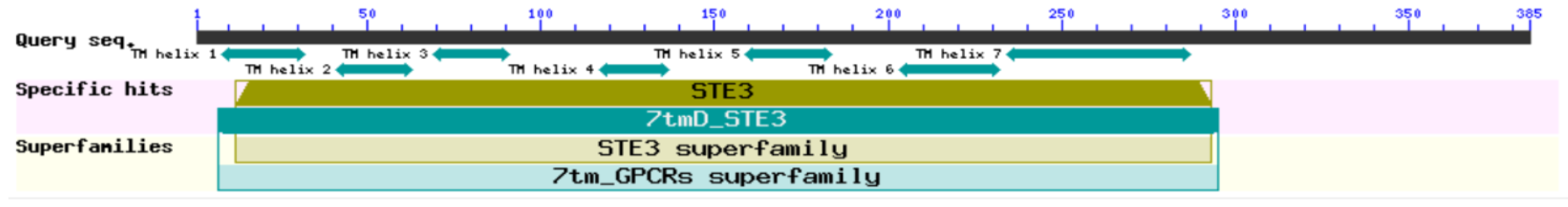 Ijms 23 13062 g002 Ijms 23 13062 g002