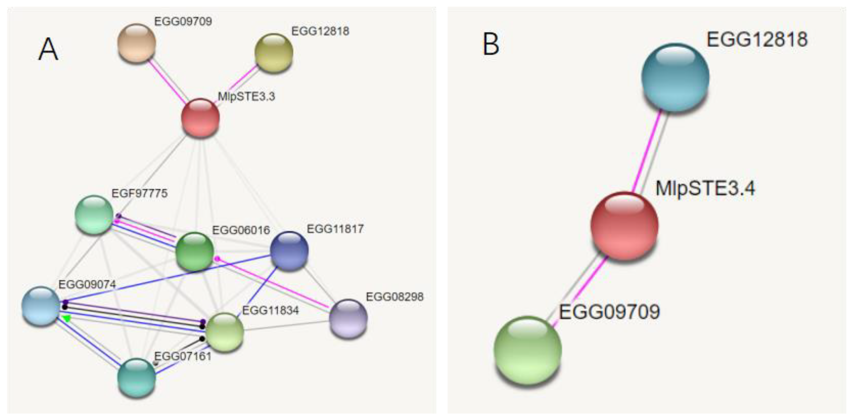 Ijms 23 13062 g003 Ijms 23 13062 g003