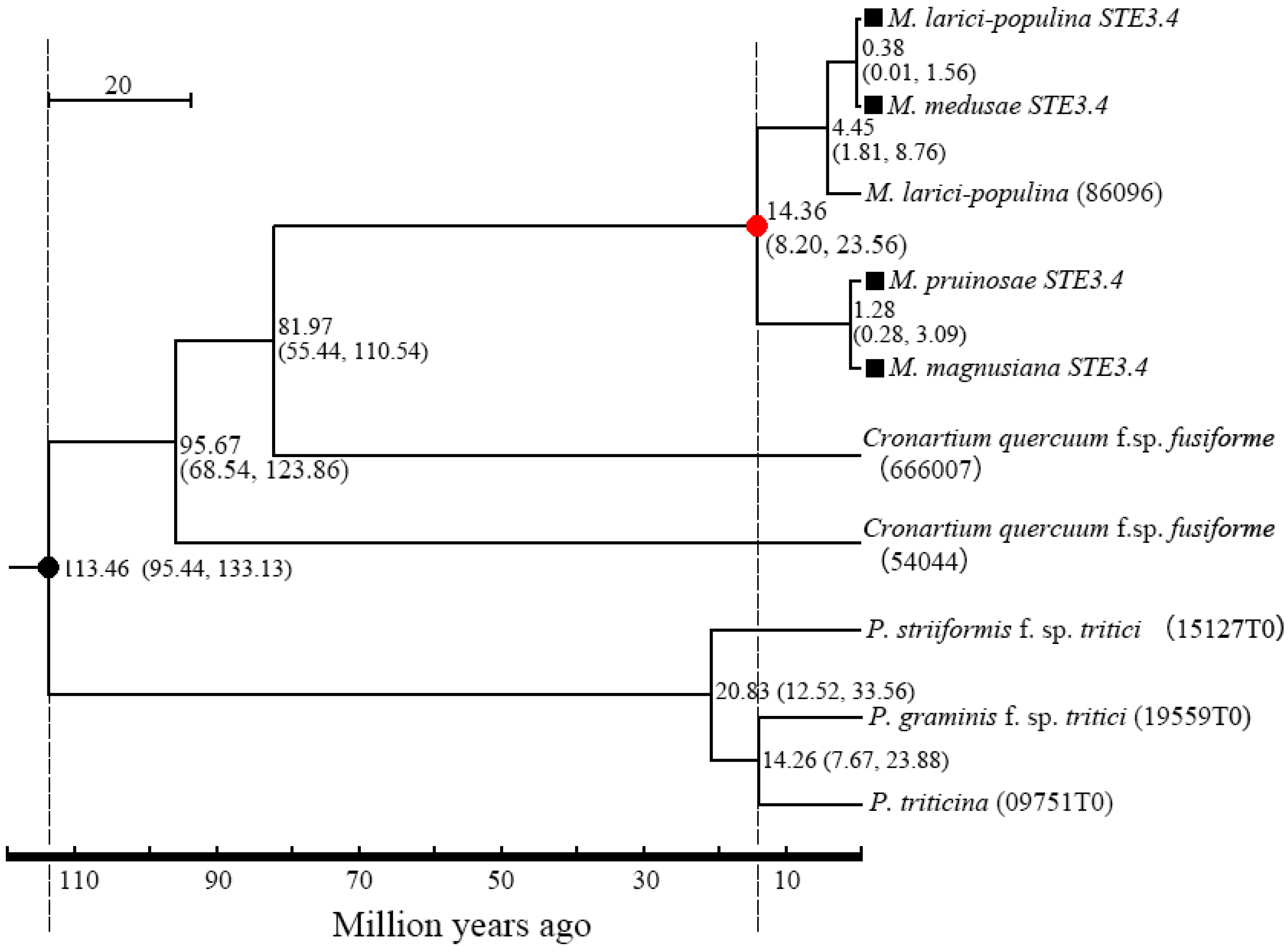 Ijms 23 13062 g004 Ijms 23 13062 g004