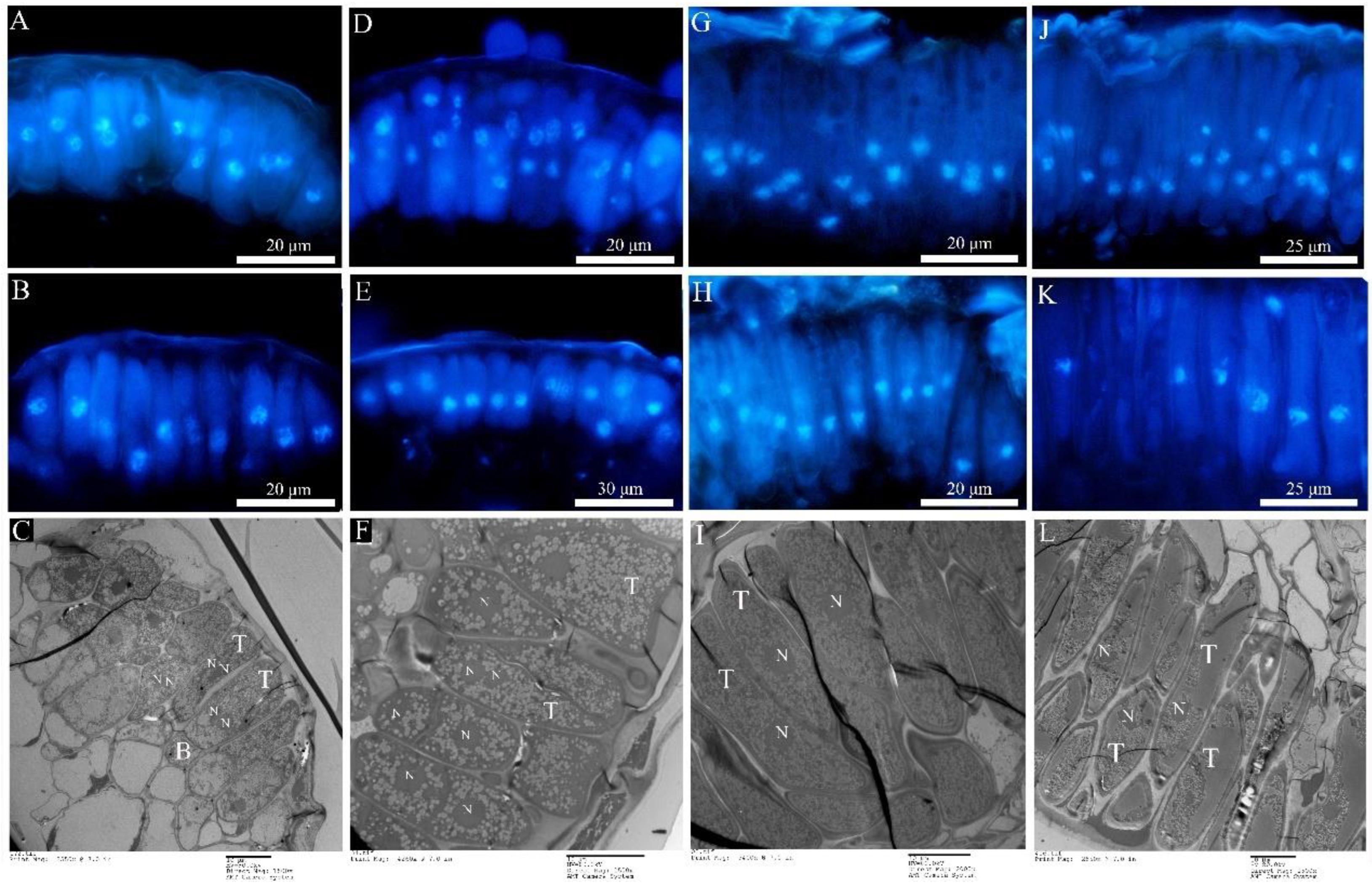 Ijms 23 13062 g006 Ijms 23 13062 g006