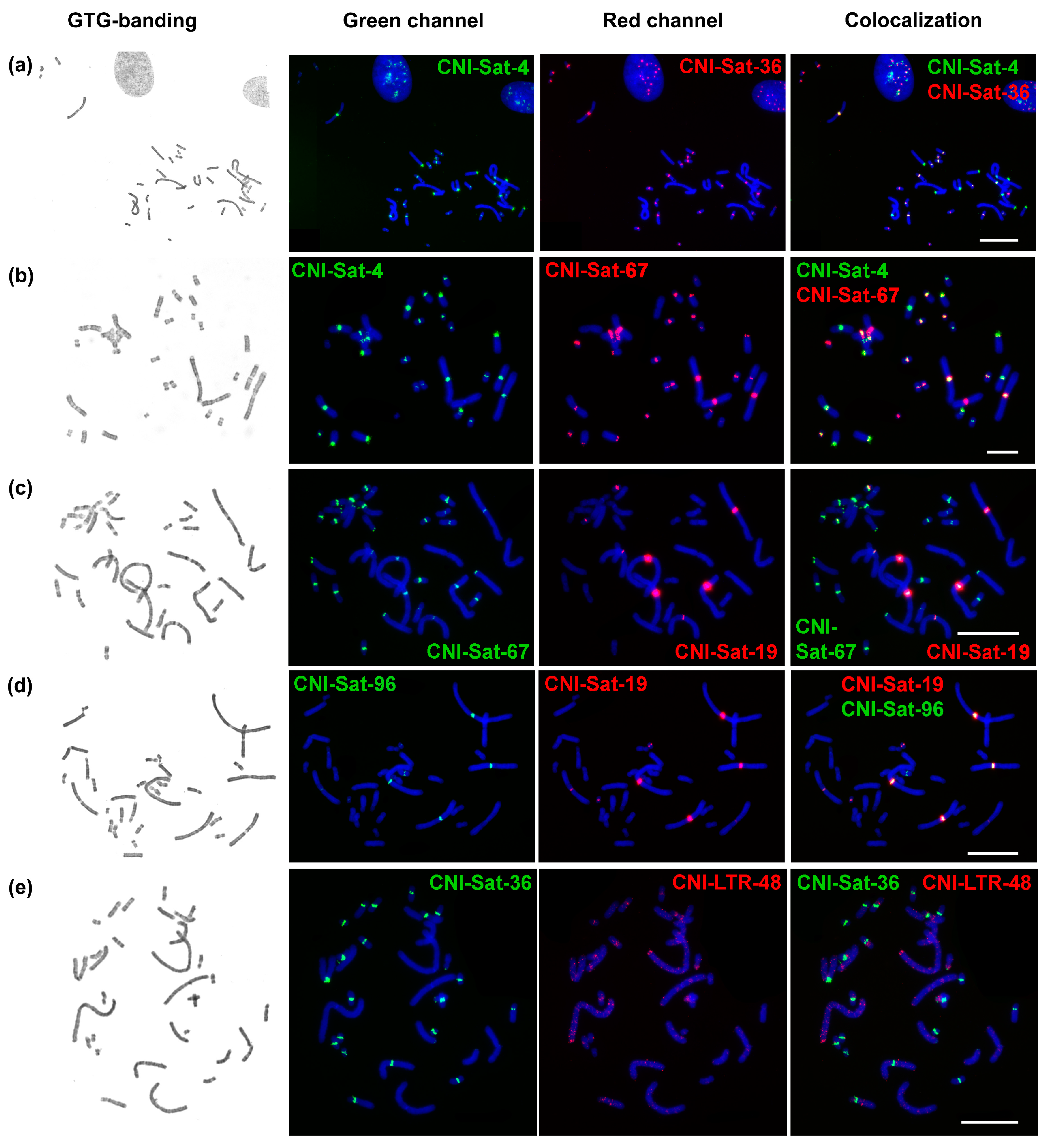 Ijms 23 13063 g003a Ijms 23 13063 g003a