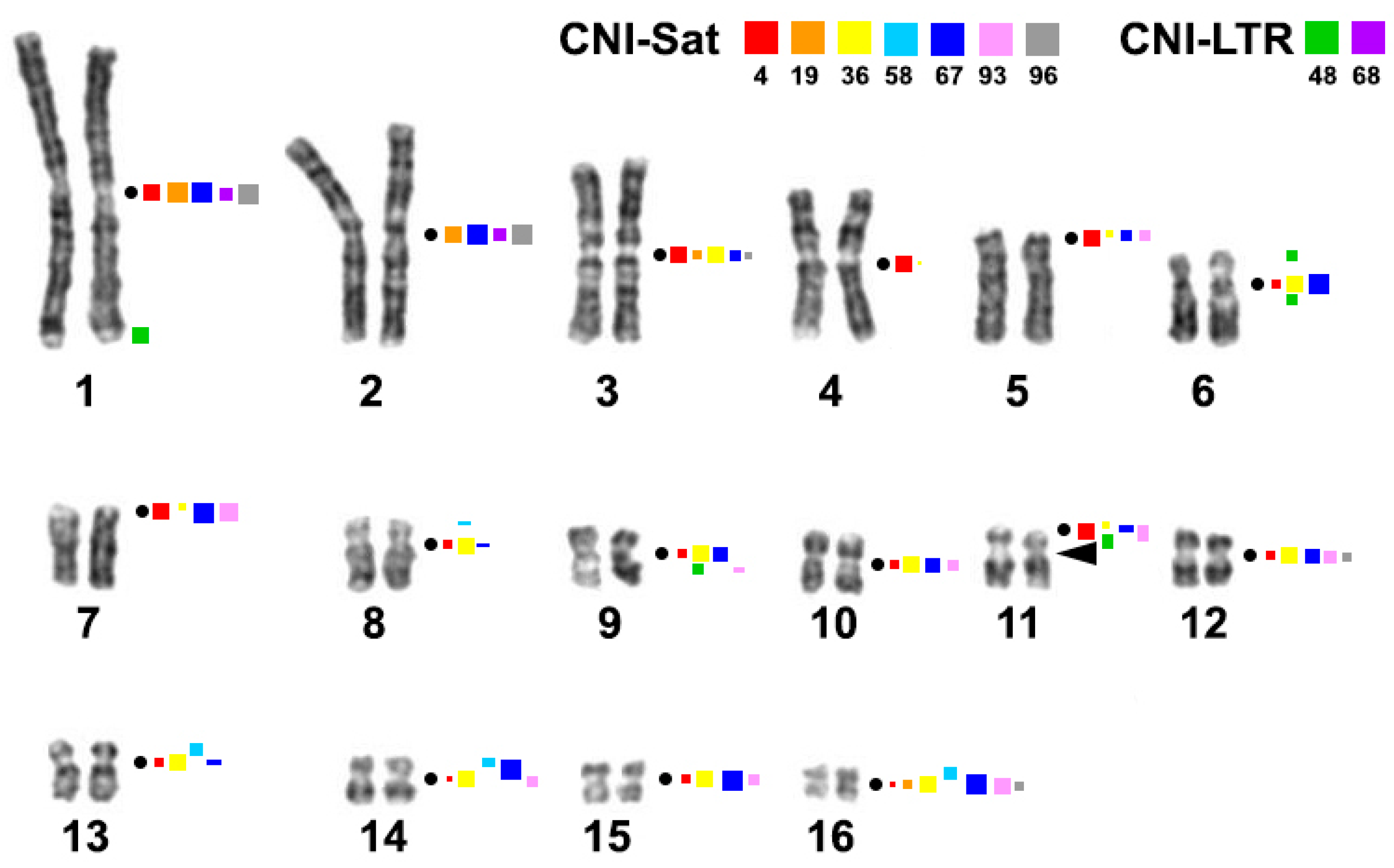 Ijms 23 13063 g004 Ijms 23 13063 g004