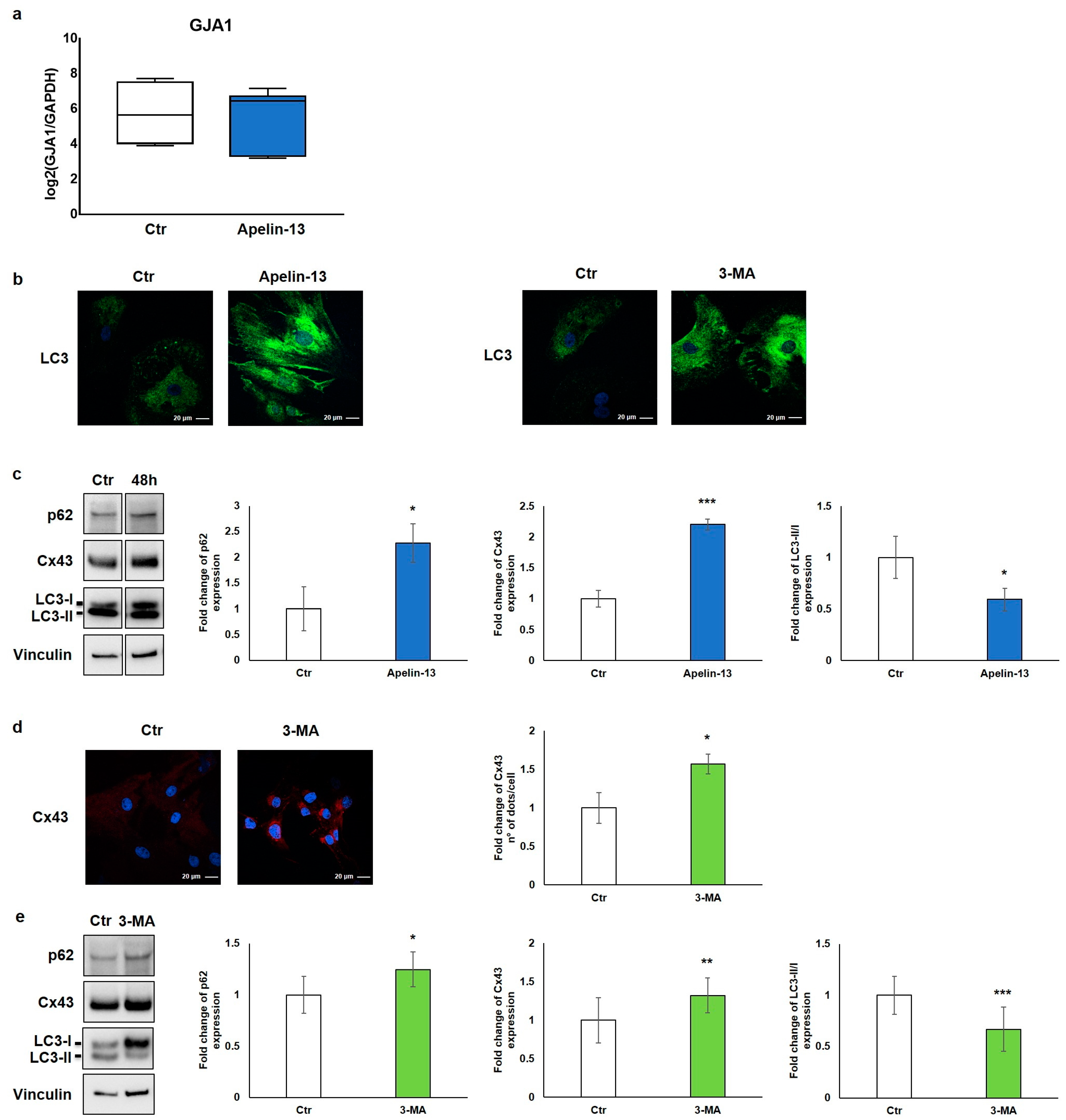 Ijms 23 13073 g003 Ijms 23 13073 g003