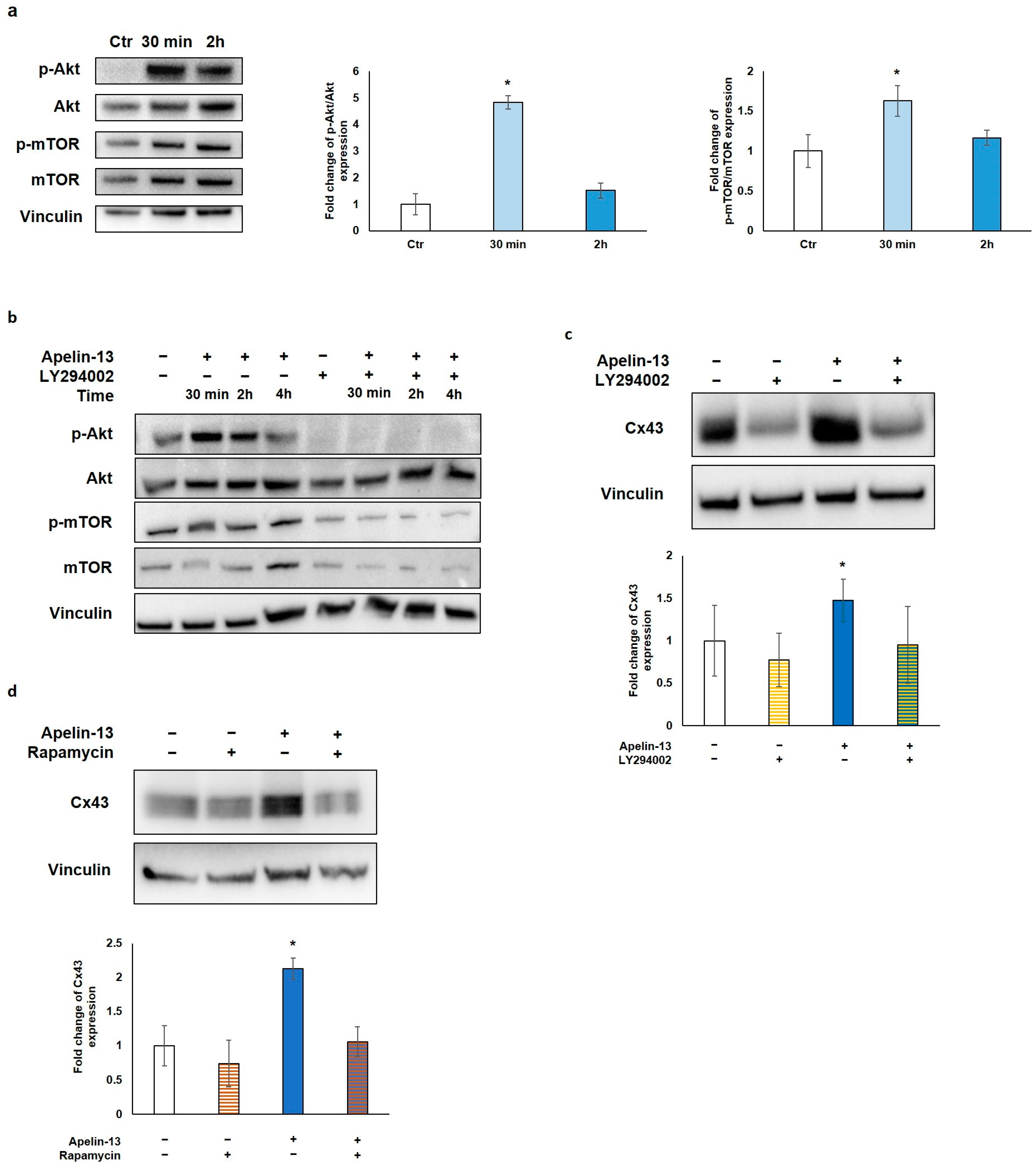 Ijms 23 13073 g004 Ijms 23 13073 g004