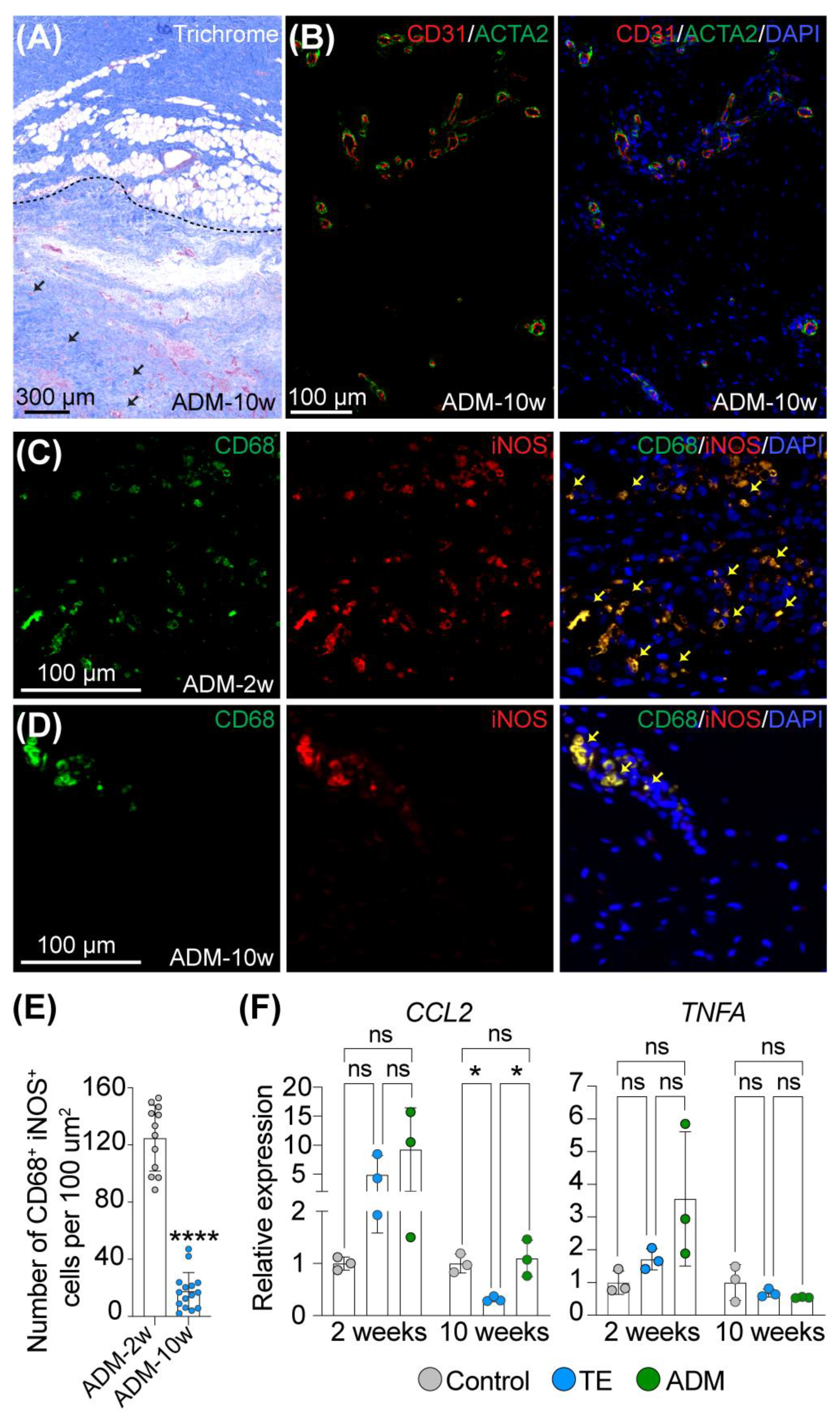 Ijms 23 13091 g001 Ijms 23 13091 g001