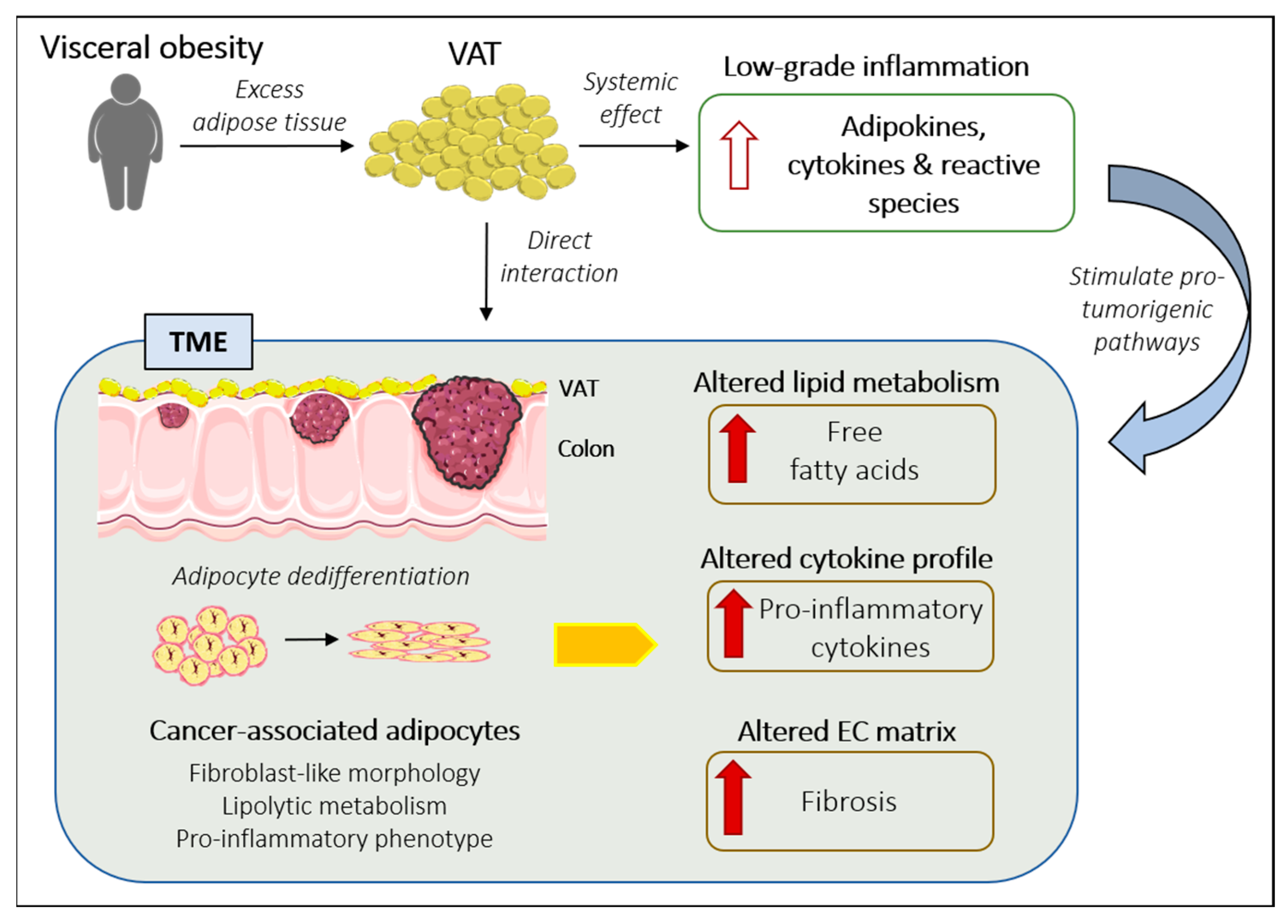 Ijms 23 13128 g002 Ijms 23 13128 g002