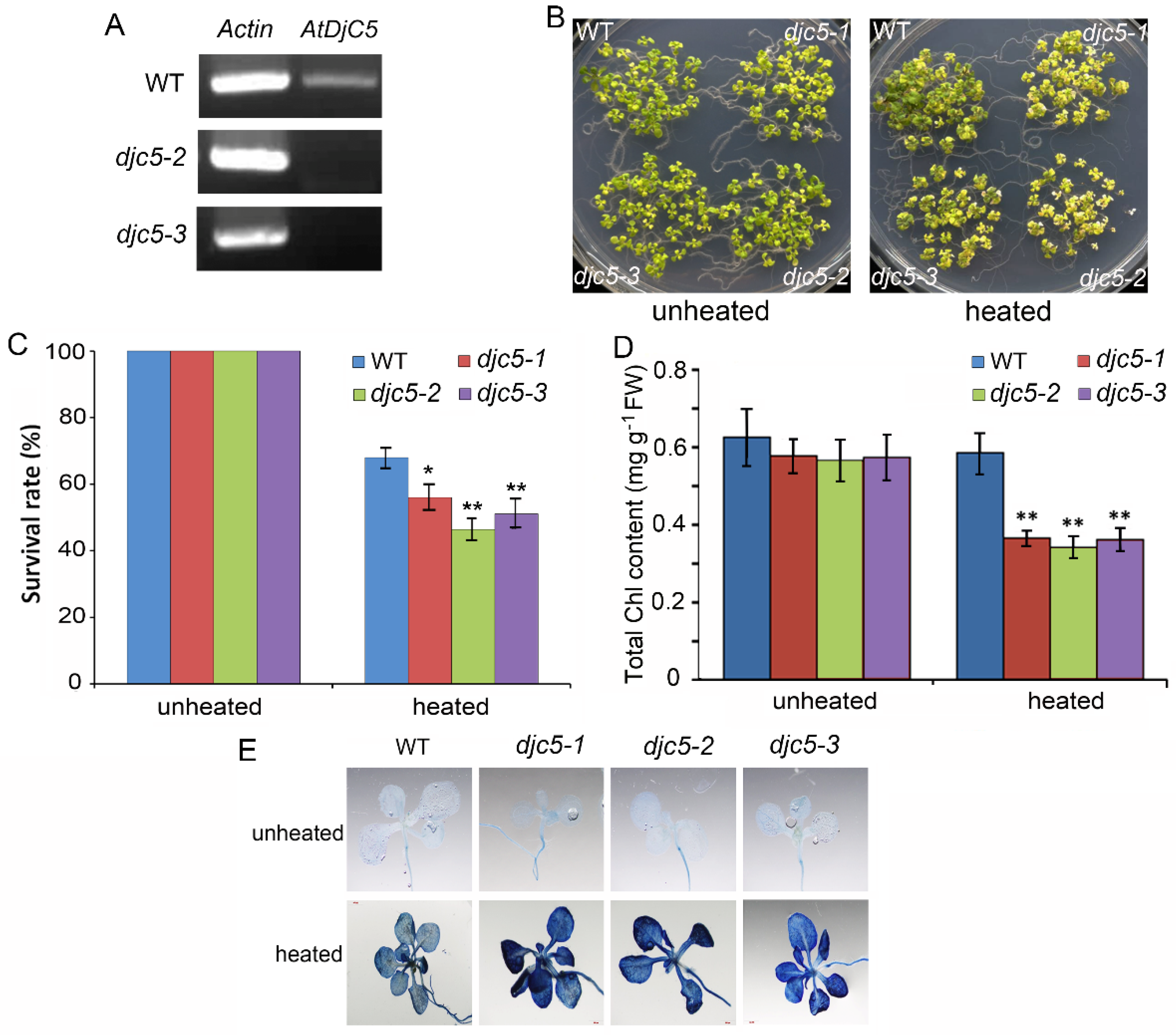 Ijms 23 13134 g002 Ijms 23 13134 g002