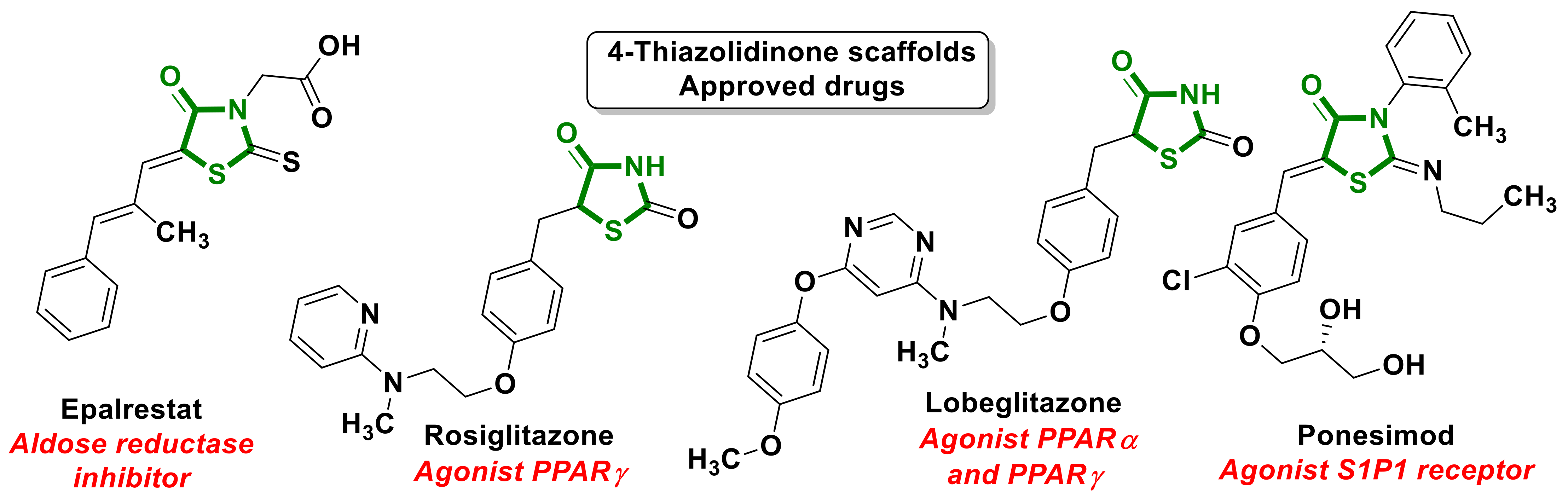 Ijms 23 13135 g001 Ijms 23 13135 g001