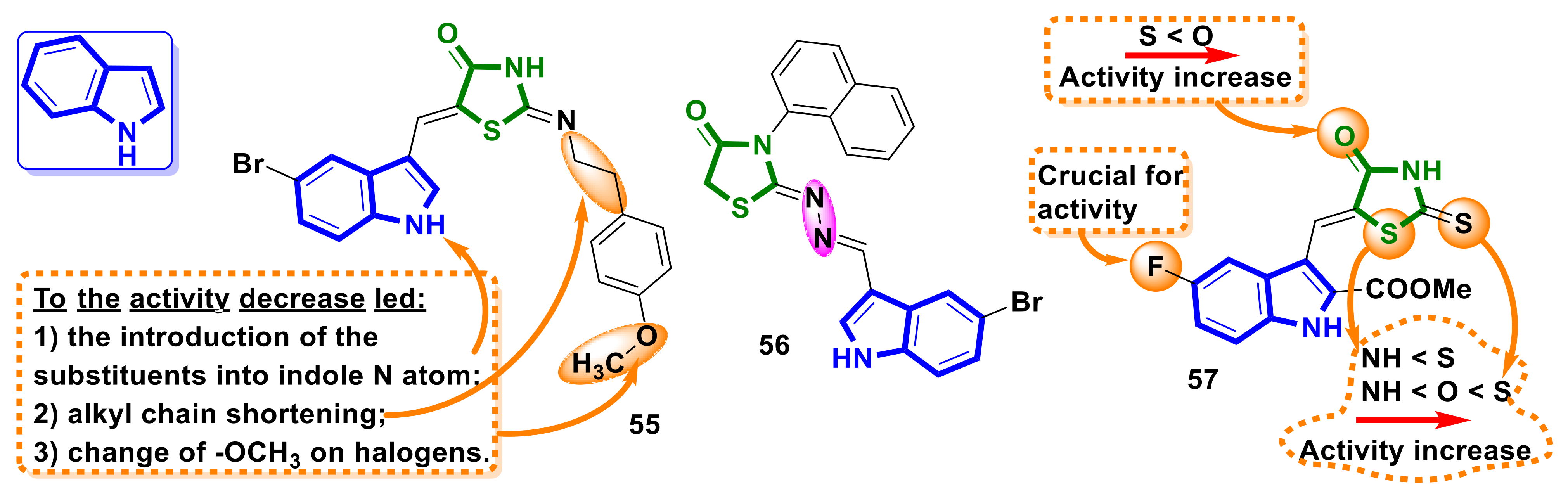 Ijms 23 13135 g022 Ijms 23 13135 g022
