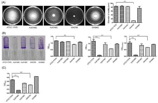 ^_^20キロ Complementary Regulation of BfmRS Two-Component and AbaIR