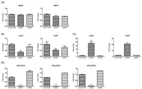 ^_^20キロ Complementary Regulation of BfmRS Two-Component and AbaIR