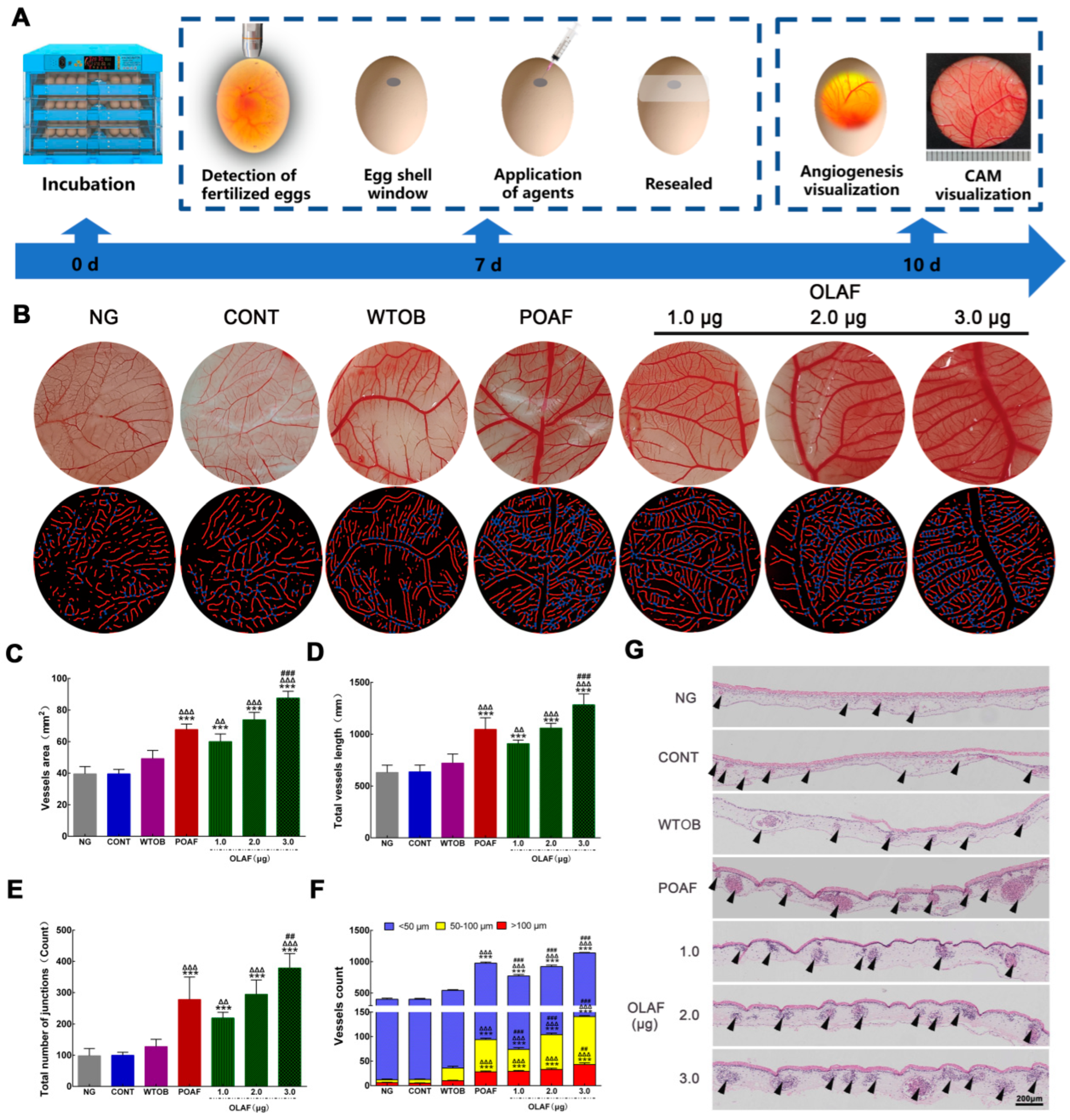 Ijms 23 13152 g004 Ijms 23 13152 g004