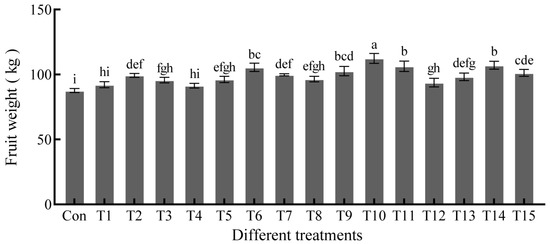 Effects of Exogenous α-Naphthaleneacetic Acid and 24