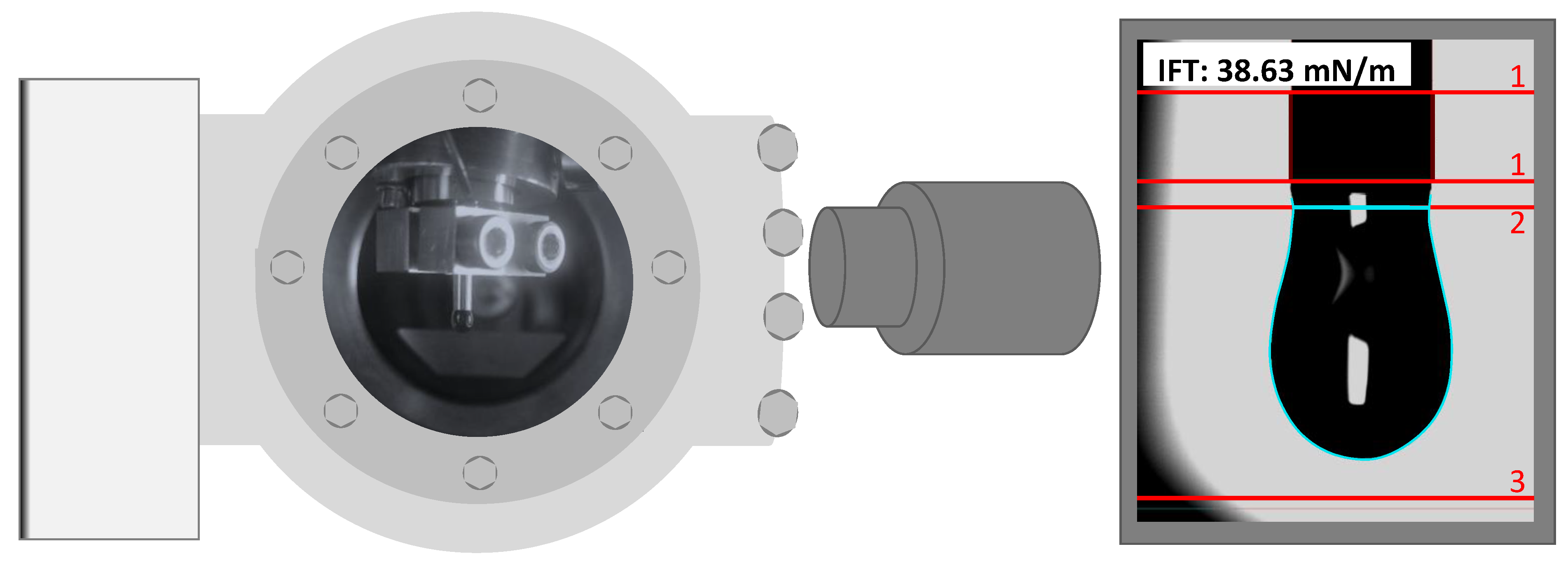 Ijms 23 13158 g003 Ijms 23 13158 g003